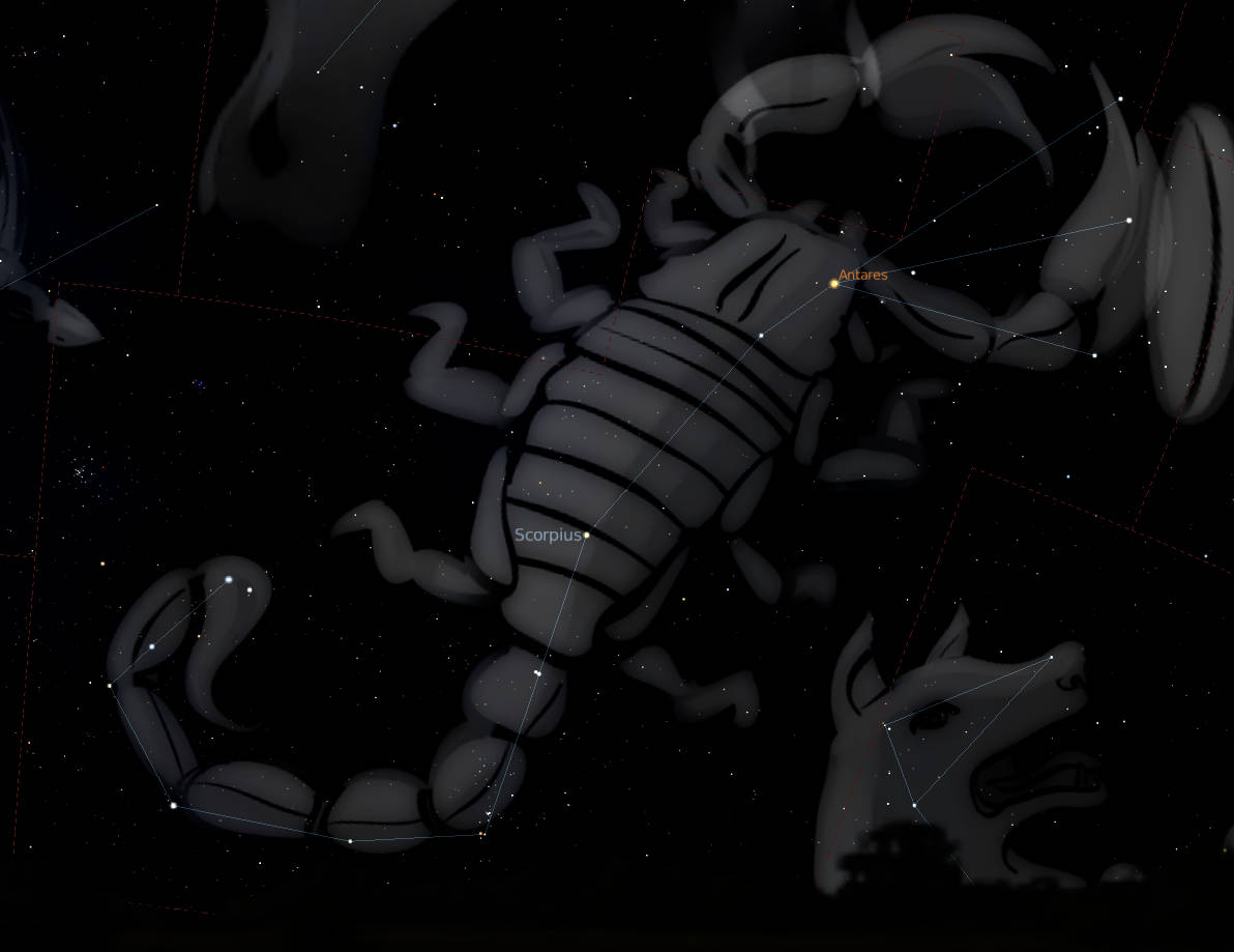 一張帶有標記星星和模糊網格線的太空天蠍座星座圖。 — 星座 GIF 壁紙