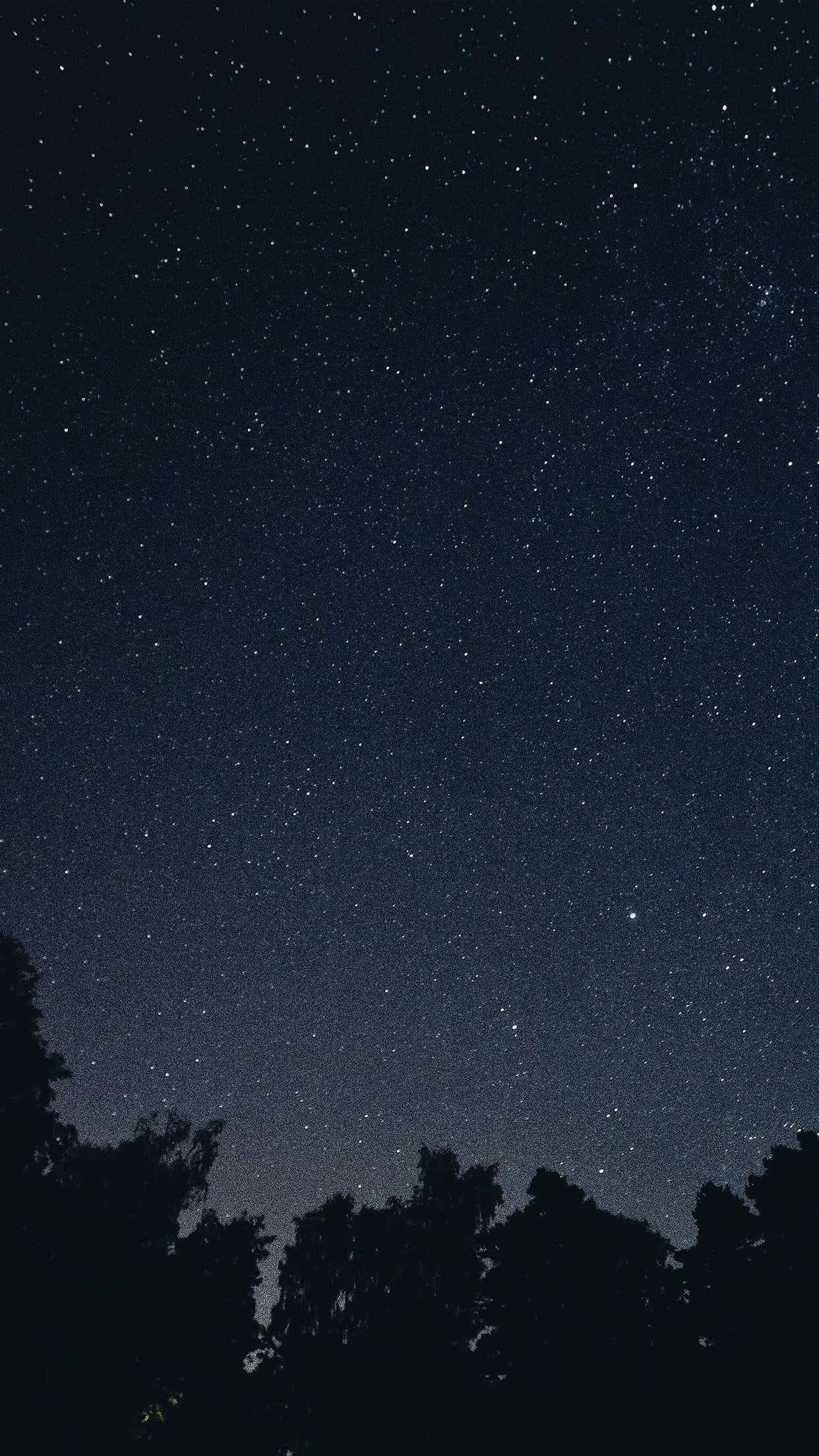 桌布 壁紙 — 在黑暗樹梢剪影上方，滿天繁星的夜空令人嘆為觀止。