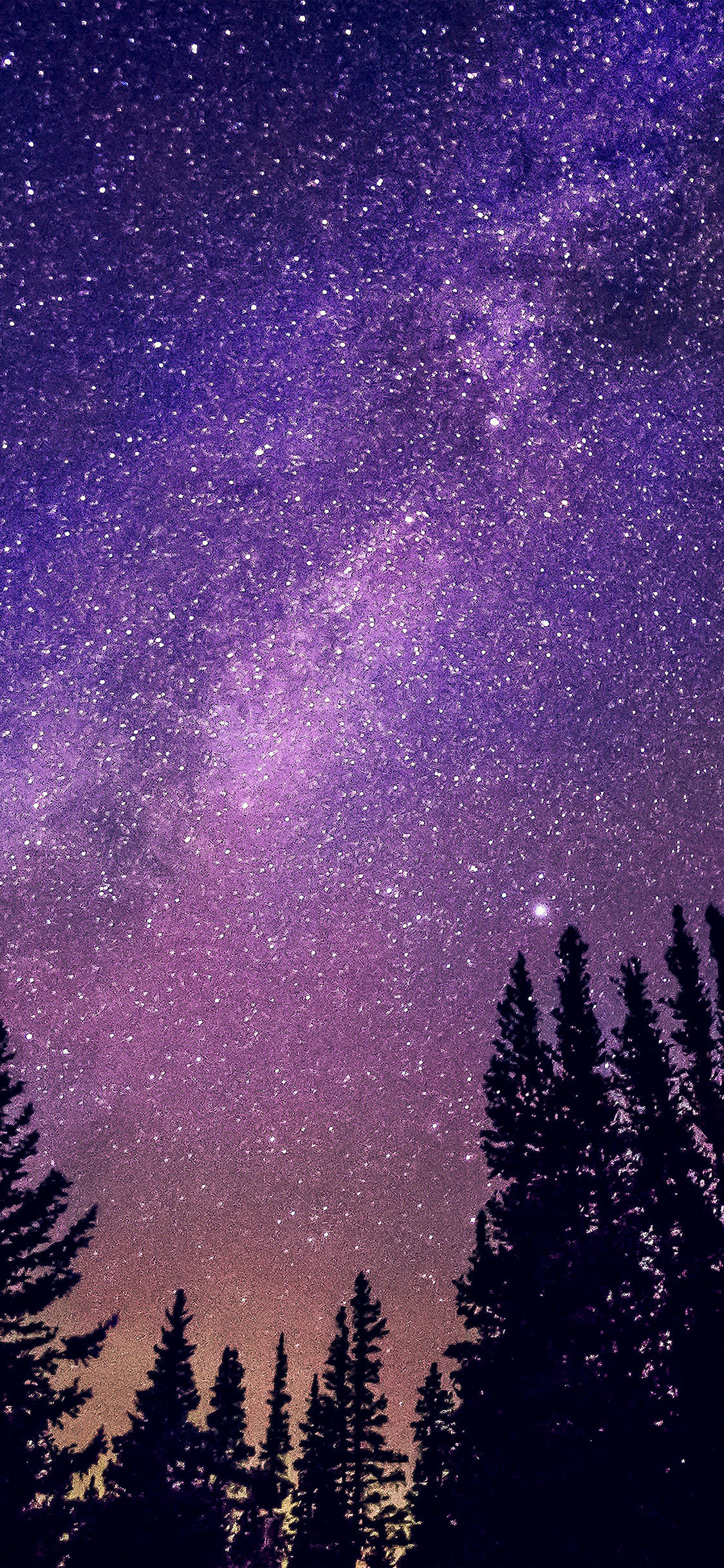 夜空 桌布 壁紙 — 在黑暗的松樹剪影上方，銀河系散發出充滿活力的紫色和粉紅色光芒，令人嘆為觀止。
