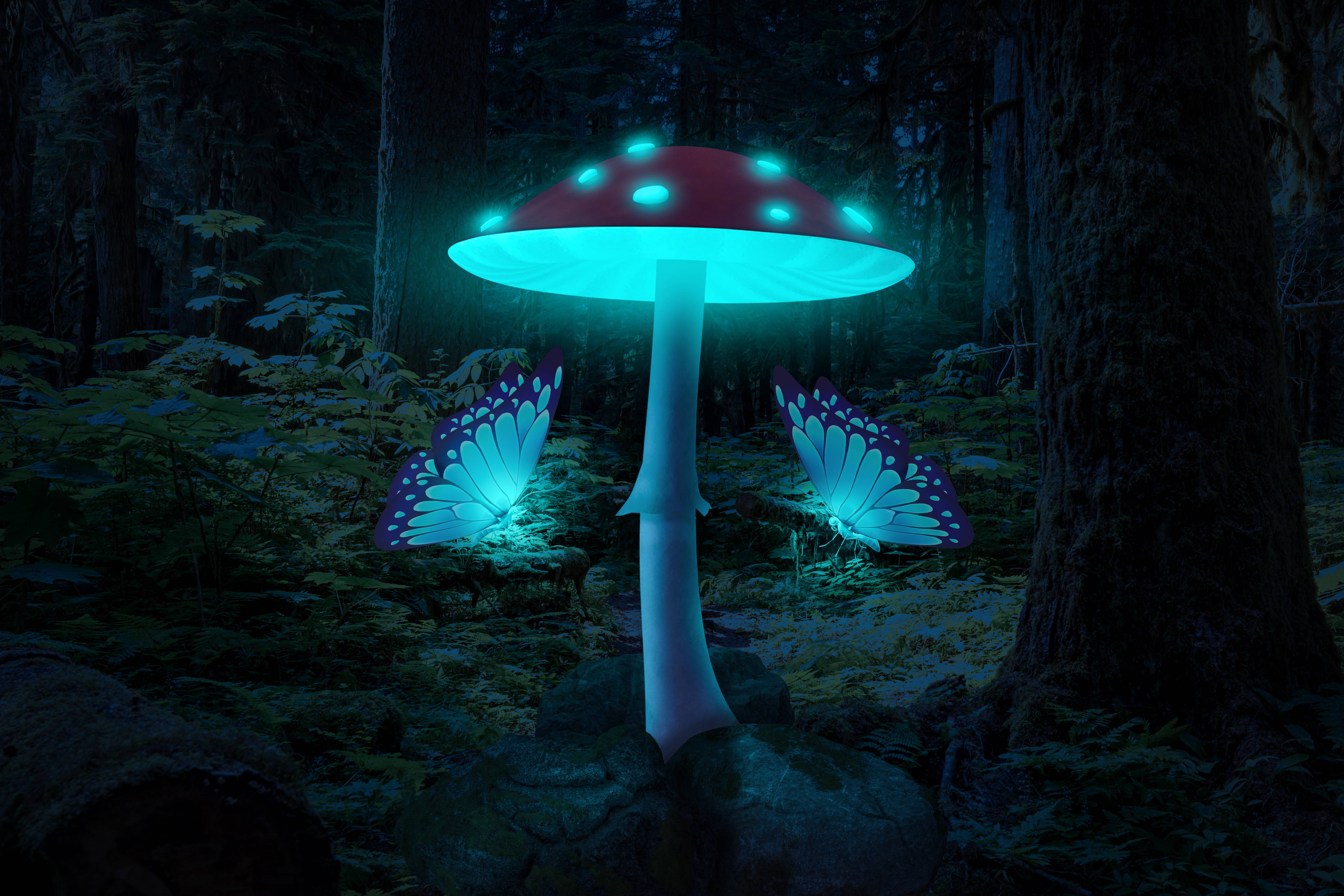 night butterfly 桌布 壁紙 — 在黑暗的魔法森林中，一顆發光的紅藍蘑菇與發光的蝴蝶在夜間翩翩起舞。