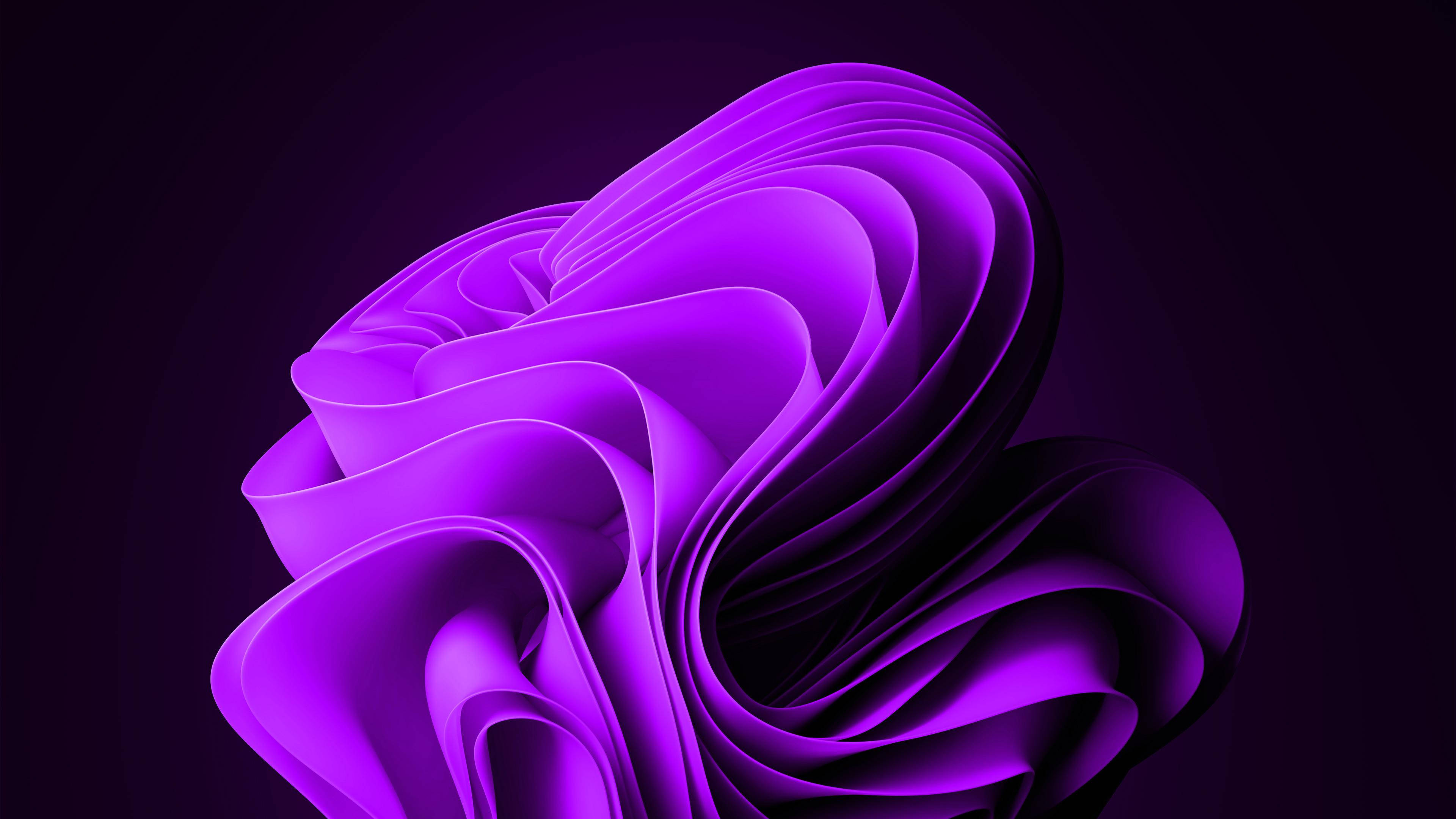 Violet 桌布 壁紙 — 在黑暗背景下，發光的紫色抽象雕塑，帶有流動的絲帶曲線。