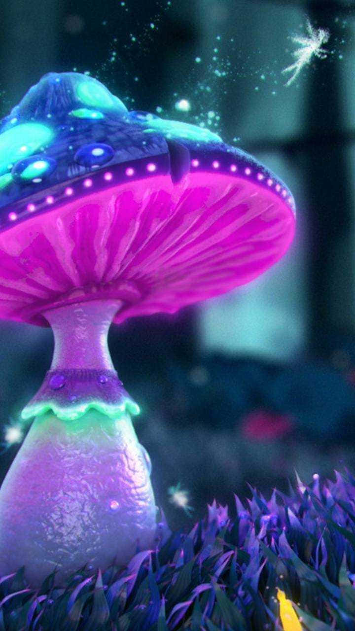 Mushroom Aesthetic 桌布 壁紙 — 在黑暗魔法森林中，一朵發光的紫色蘑菇帶有藍色光芒和閃爍效果。