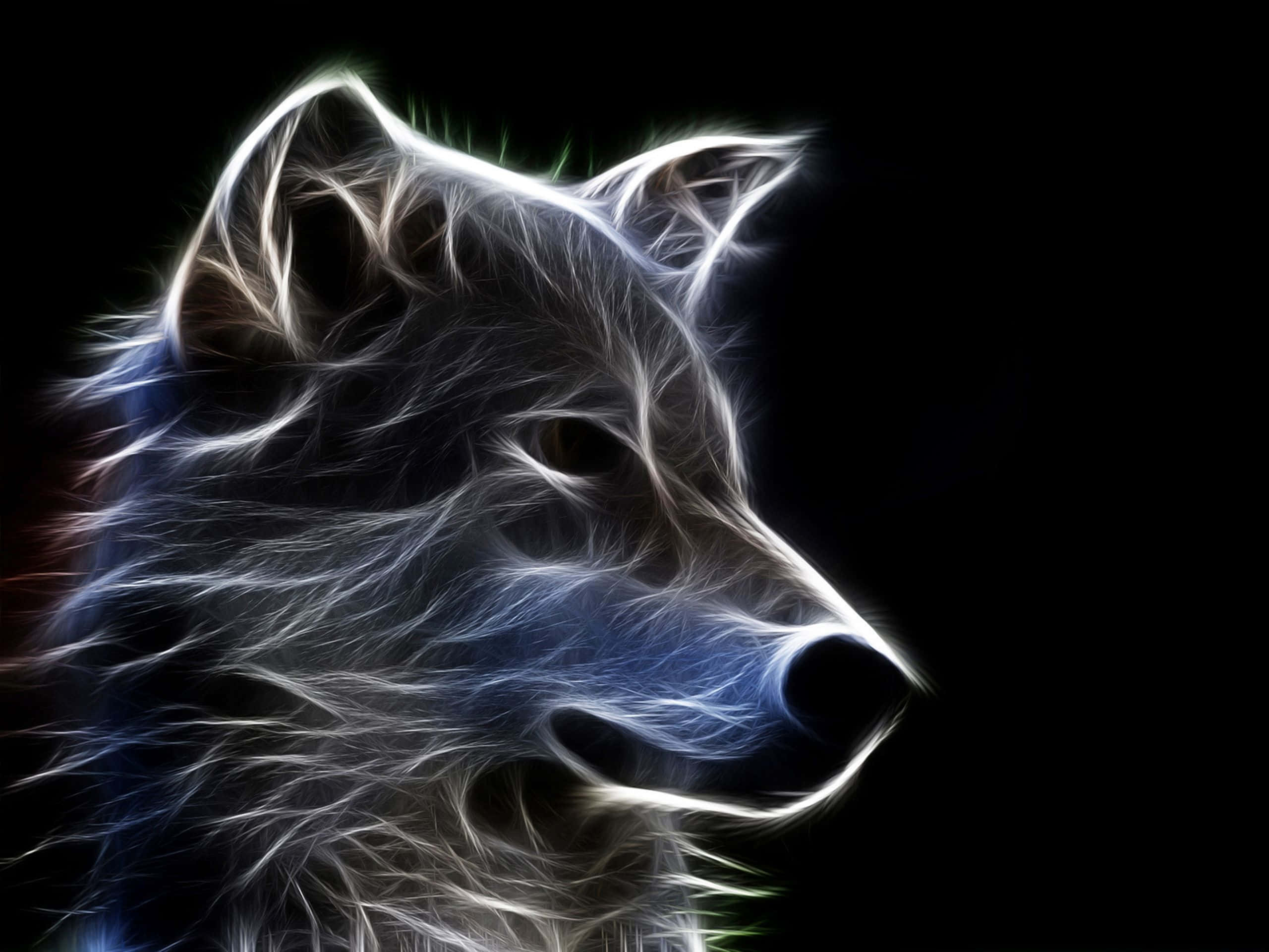 動物 桌布 壁紙 — 在黑色背景上，一個以電光藍和白色發光的狼頭，帶有霓虹髮絲。