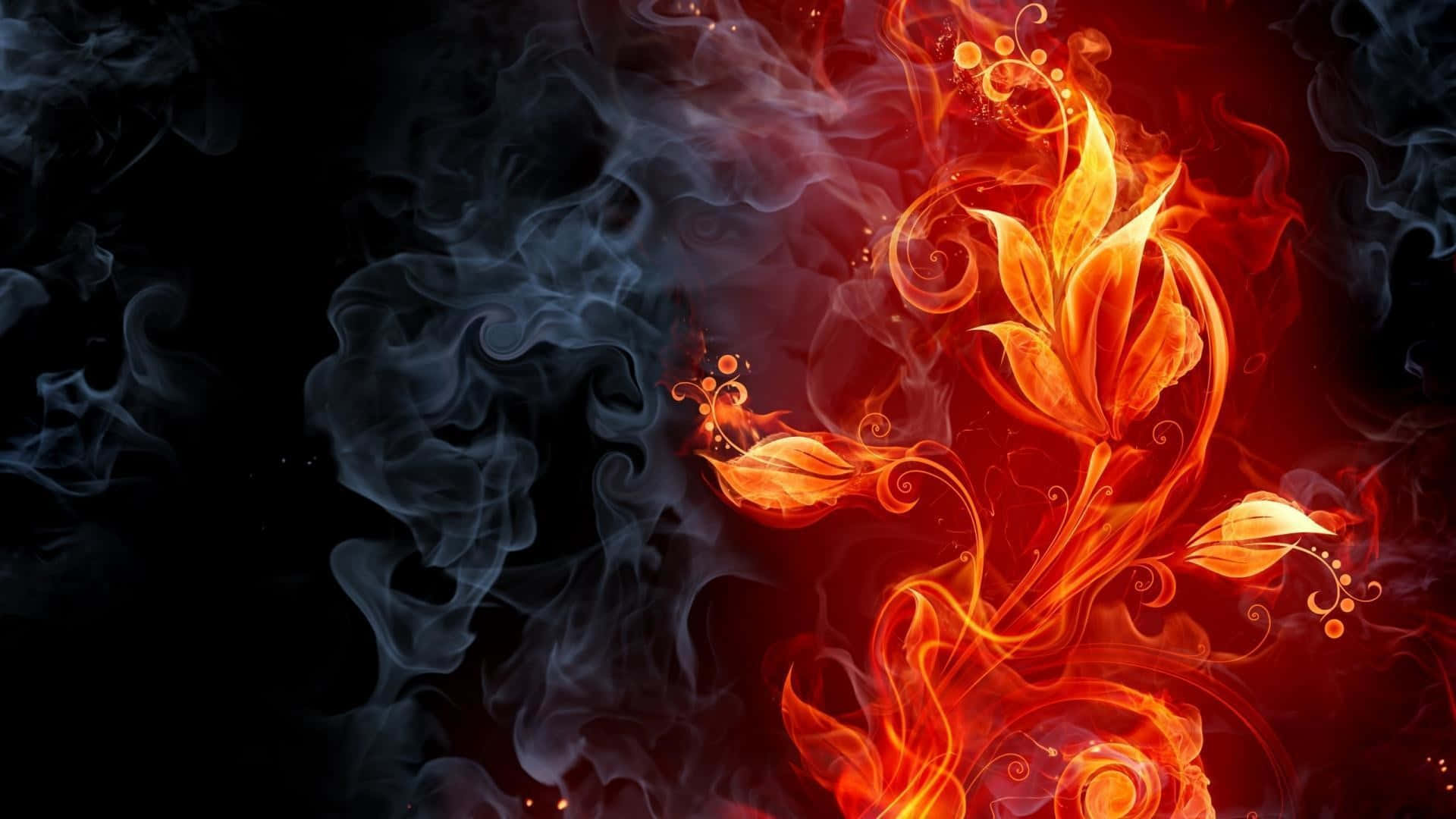 火焰動畫 桌布 壁紙 — 在黑色背景上，從旋轉的黑暗煙霧中浮現出火熱的橙色和紅色花卉設計。