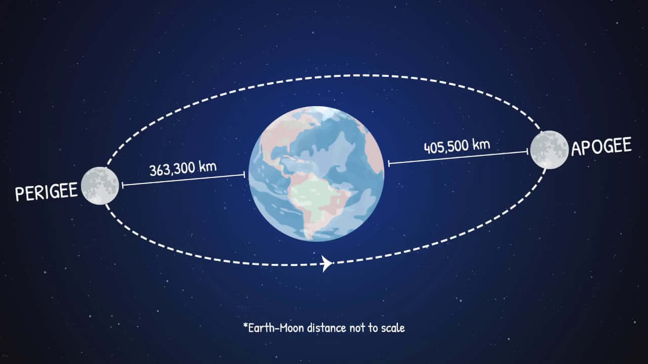 Perigee 桌布 壁紙 — 地球和月球軌道的插圖，標有近地點和遠地點距離，背景為星空夜空。