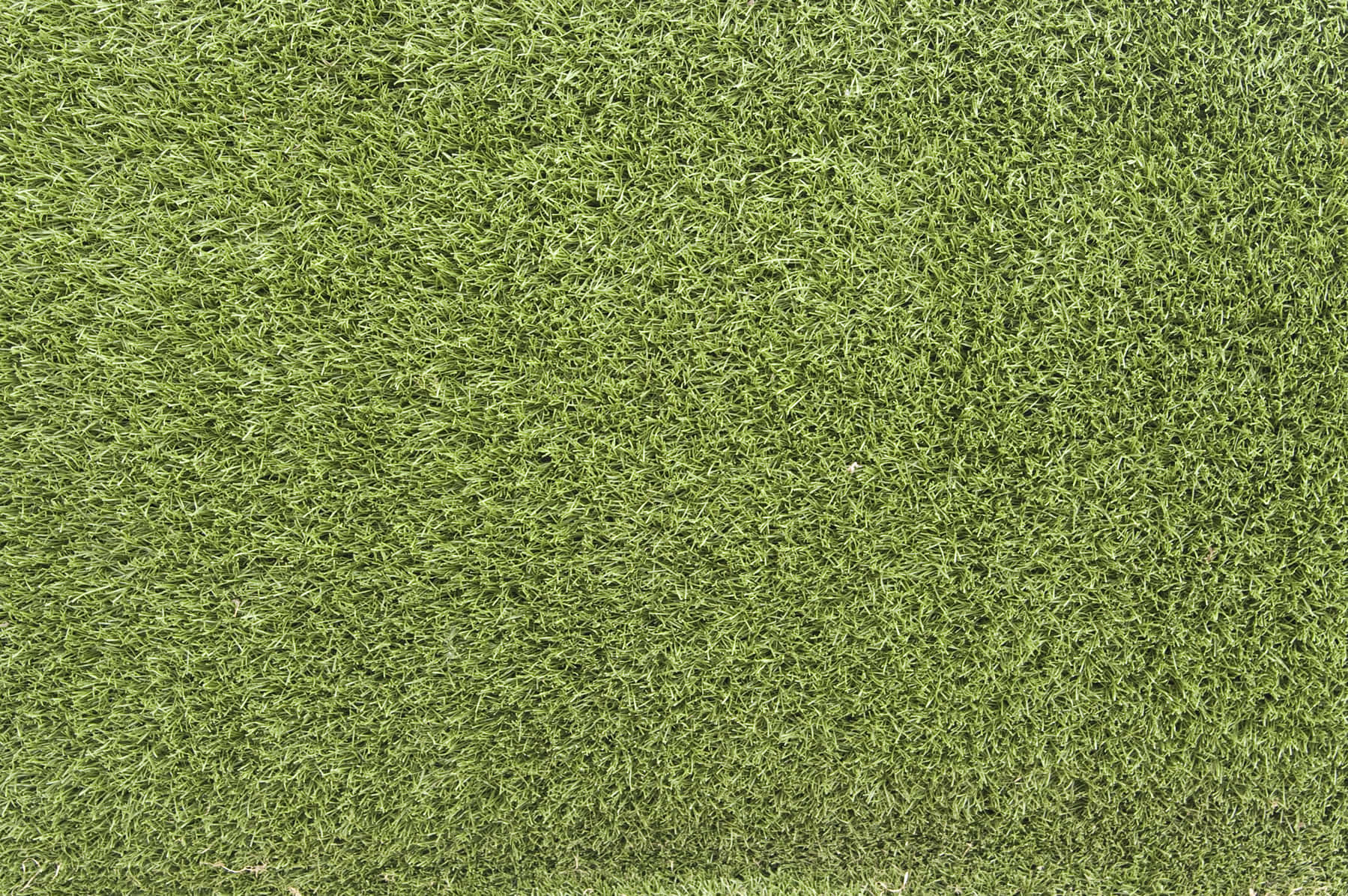 Green Grass 桌布 壁紙 — 均勻光線下茂密綠色人造草皮的近距離特寫，帶有細小葉片和微妙的紋理變化。