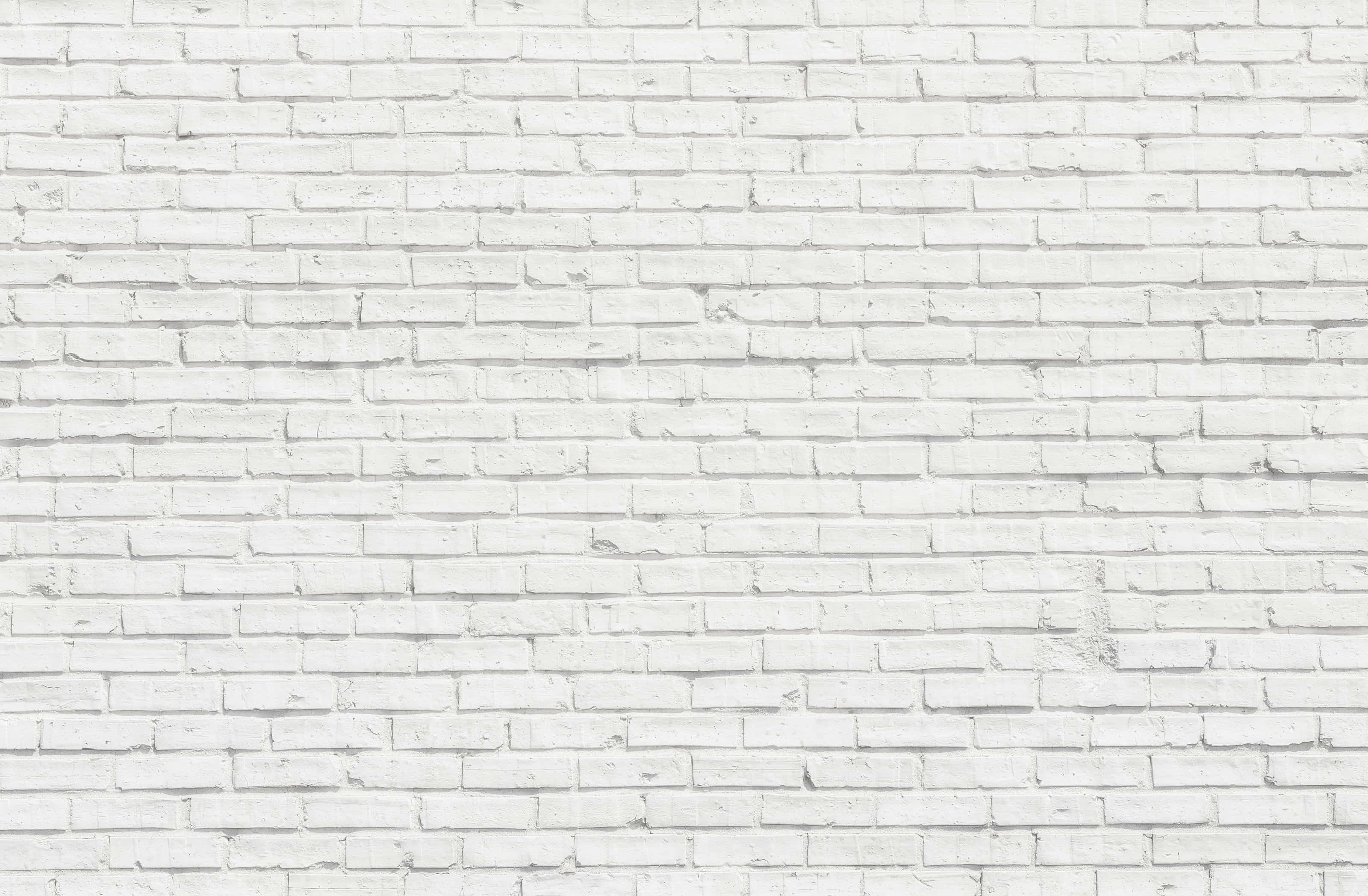 Brick 桌布 壁紙 — 均勻照明下，帶有細微紋理和砂漿線的清潔白色磚牆。