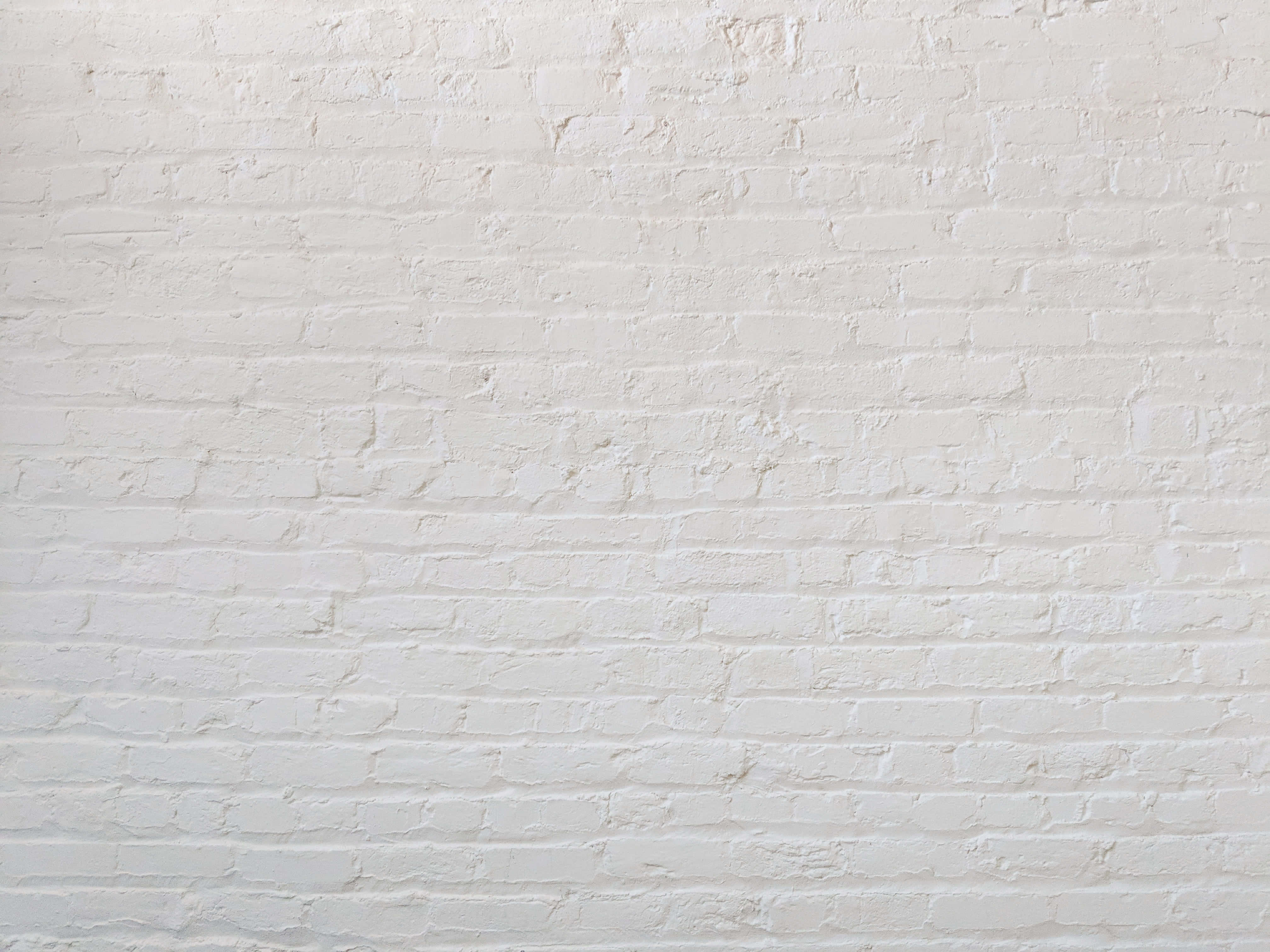 Brick Wall 桌布 壁紙 — 均勻照明下，帶有細微紋理和砂漿線的清潔白色塗漆磚牆。
