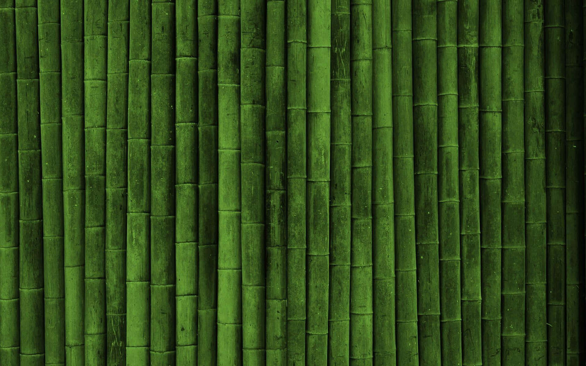 Bamboo Desktop 桌布 壁紙 — 垂直的竹莖以豐富的綠色色調營造出帶有細微陰影的紋理自然牆面圖案。