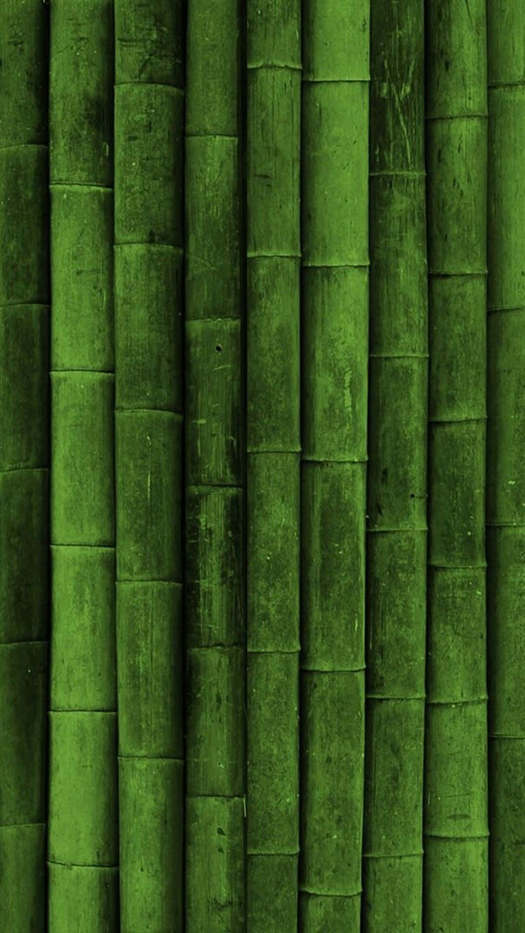 Bamboo iPhone 桌布 壁紙 — 垂直的綠色竹莖，帶有自然節和紋理樹皮，形成密集的森林牆壁圖案。