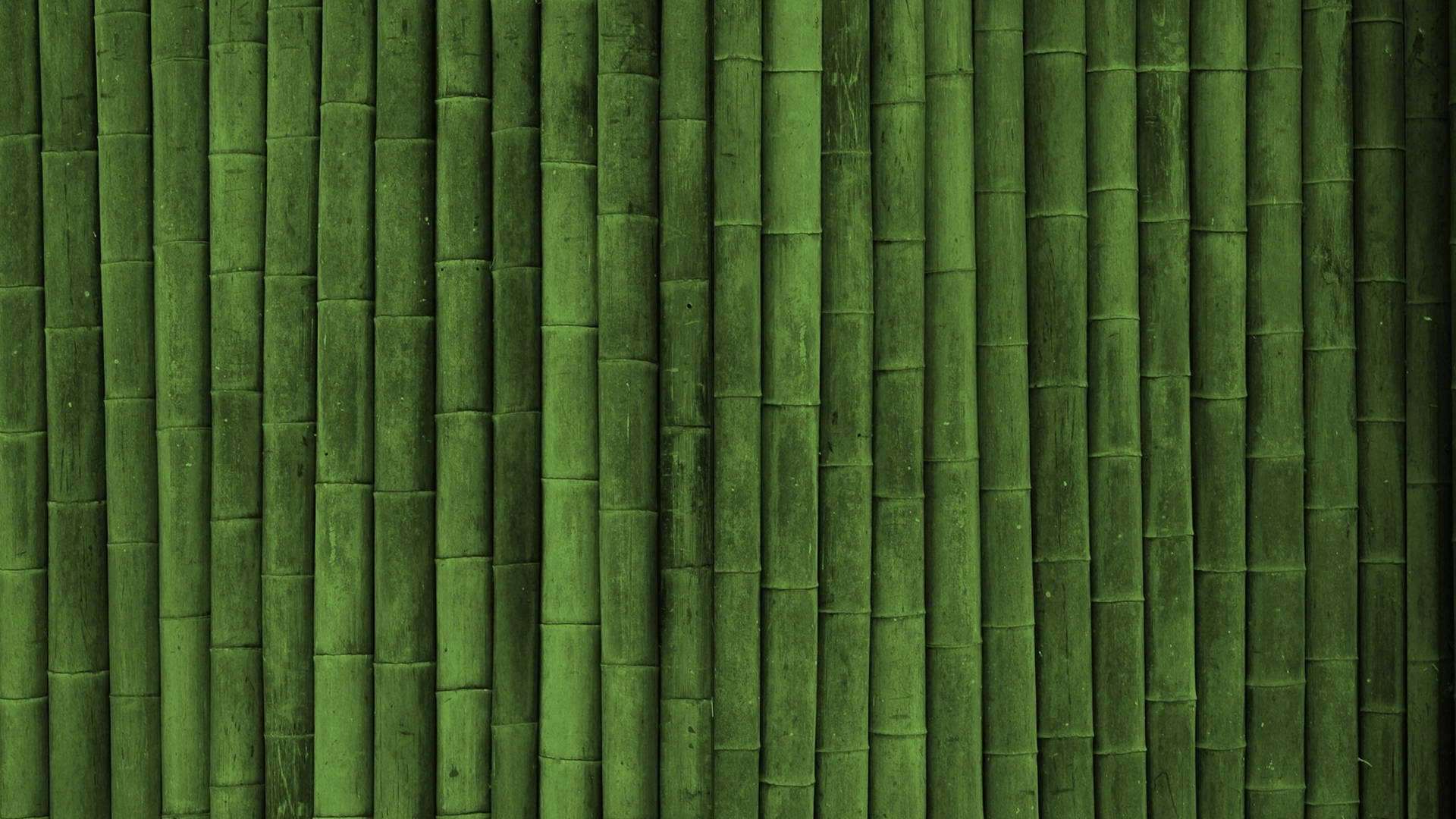 Bamboo HD 桌布 壁紙 — 垂直的綠色竹莖形成一道密集的紋理牆，帶有天然的竹節和微妙的色調變化。
