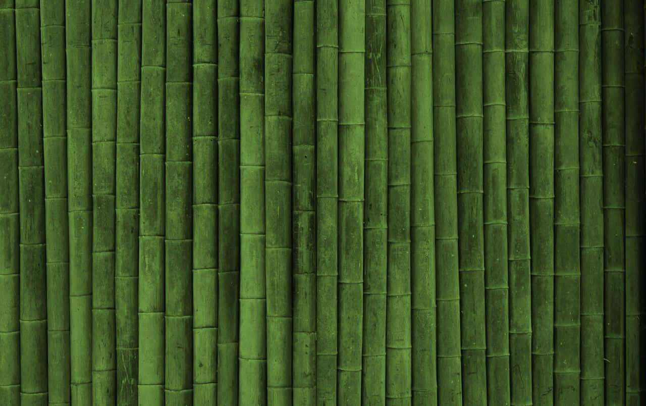 Green Bamboo 桌布 壁紙 — 垂直的綠色竹莖形成帶有紋理的自然牆壁，陰影和表面細節有細微變化。