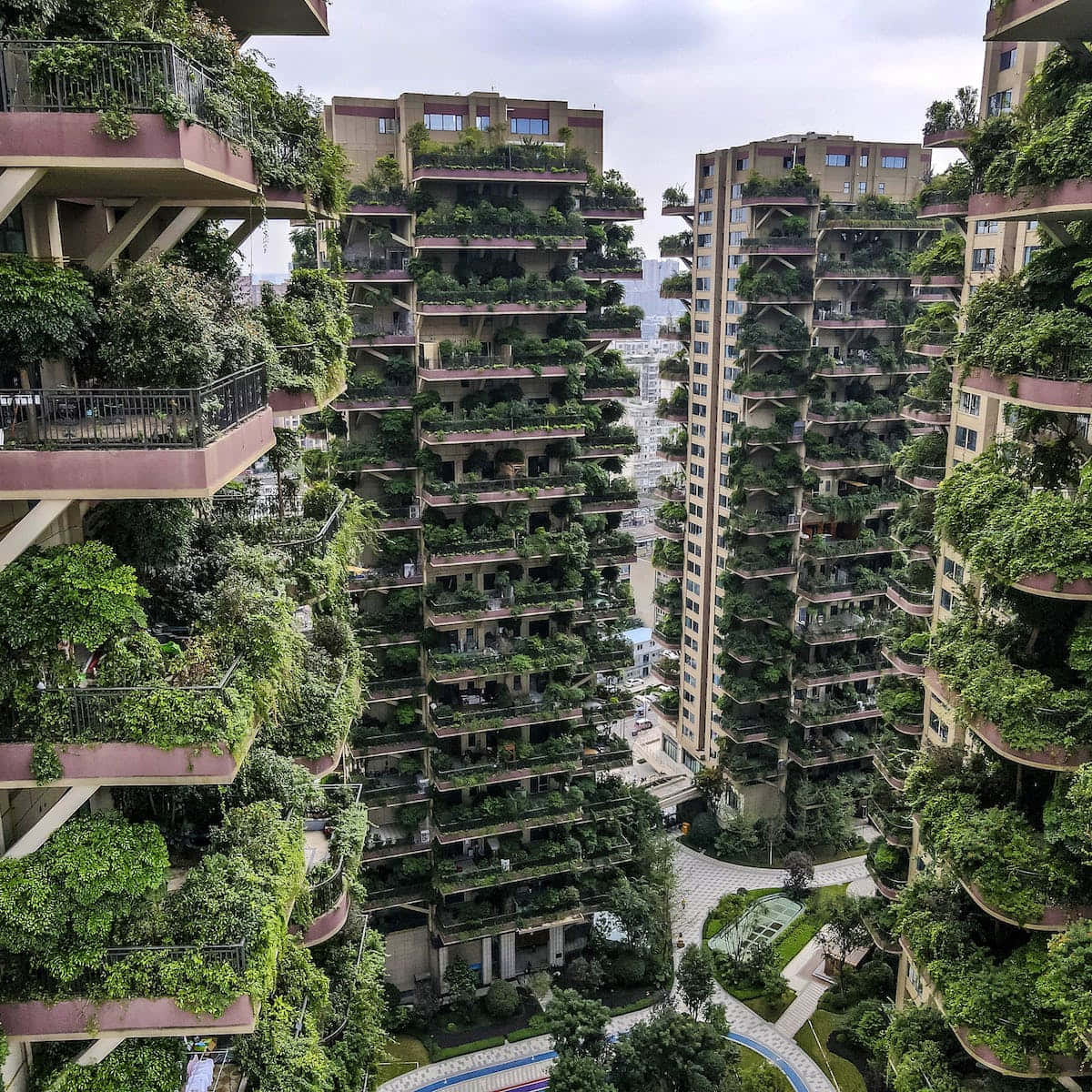 Green Buildings 桌布 壁紙 — 垂直花園從高聳的住宅建築上層層疊落，在密集的城市叢林中創造出一個鬱鬱蔥蔥的綠色綠洲。