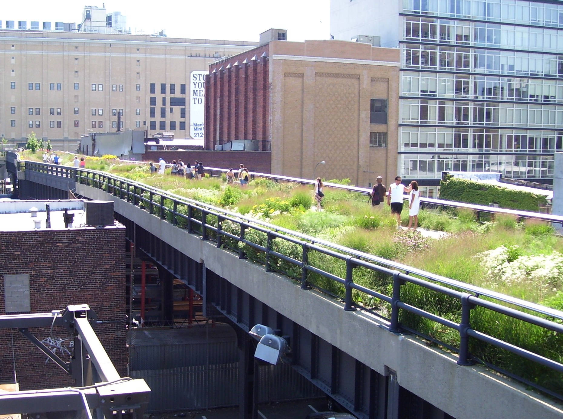 New York 桌布 壁紙 — 城市環境中一座充滿活力的綠色屋頂花園橋，人們在野花和高草中漫步。