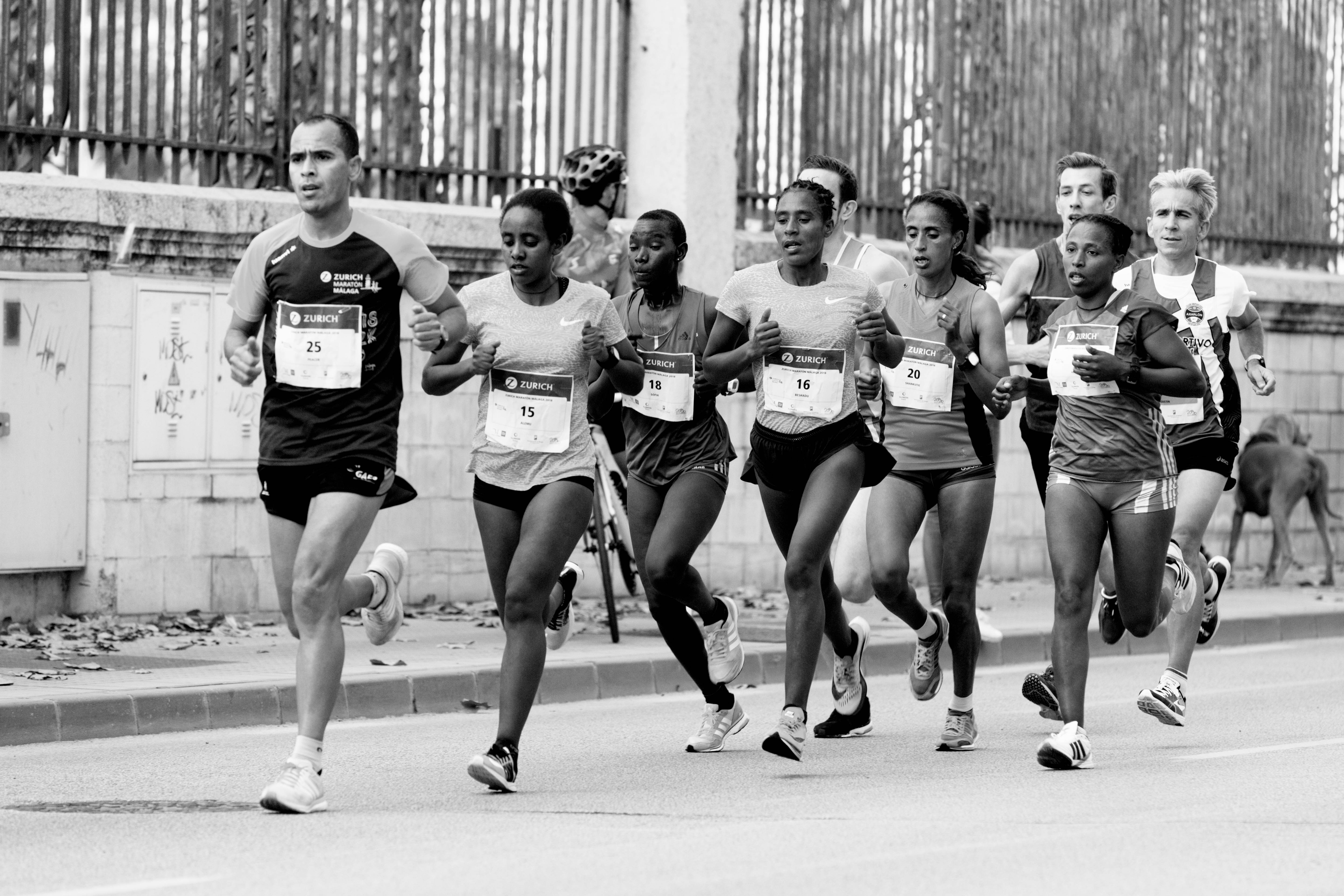 Marathon 桌布 壁紙 — 城市街道上各種跑者競賽的黑白照片，背景有一隻狗。