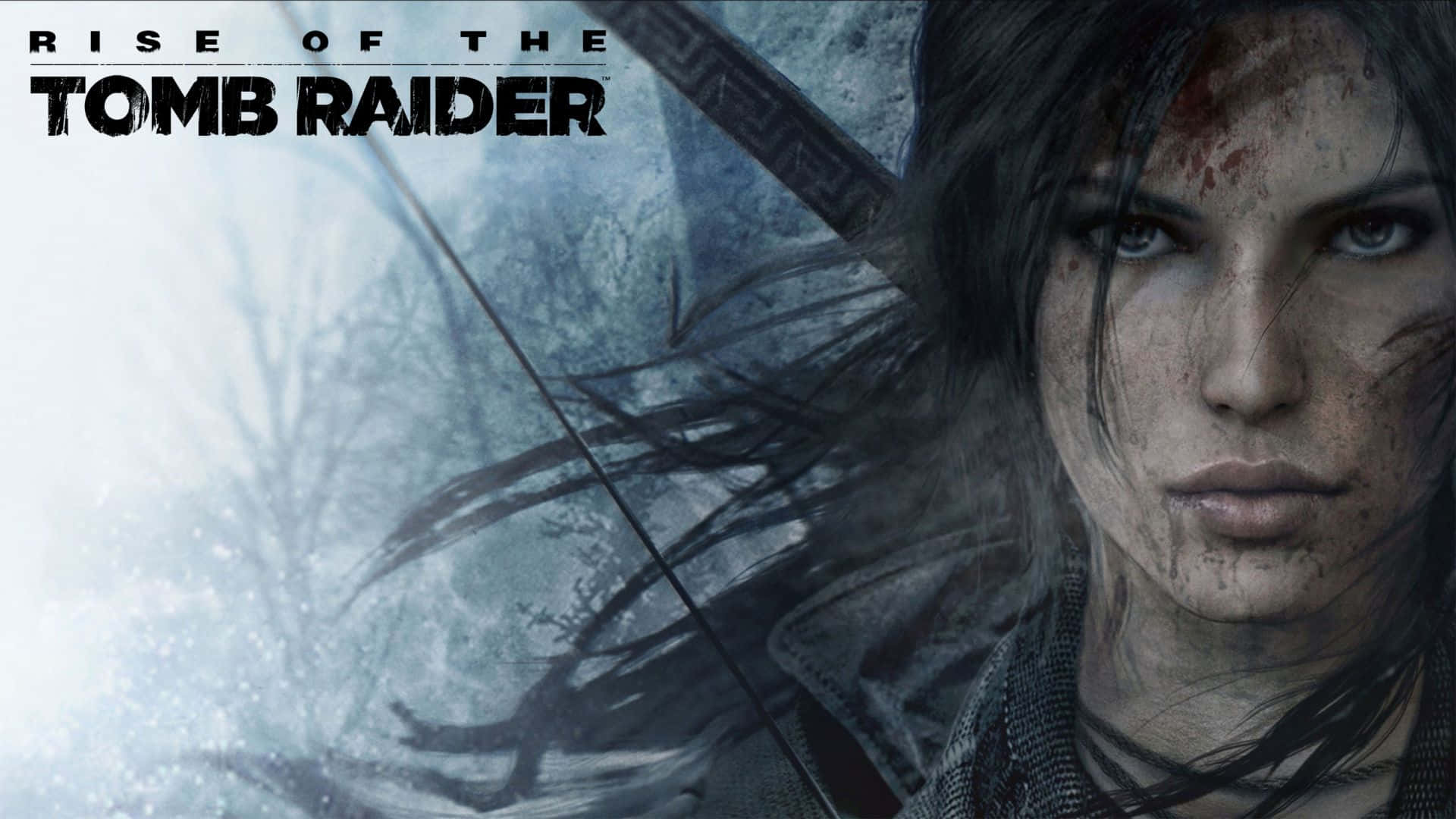 Lara Croft 桌布 壁紙 — 堅毅的蘿拉·卡芙特，臉上帶血，手持弓箭，身處雪林之中，來自《古墓奇兵：崛起》。