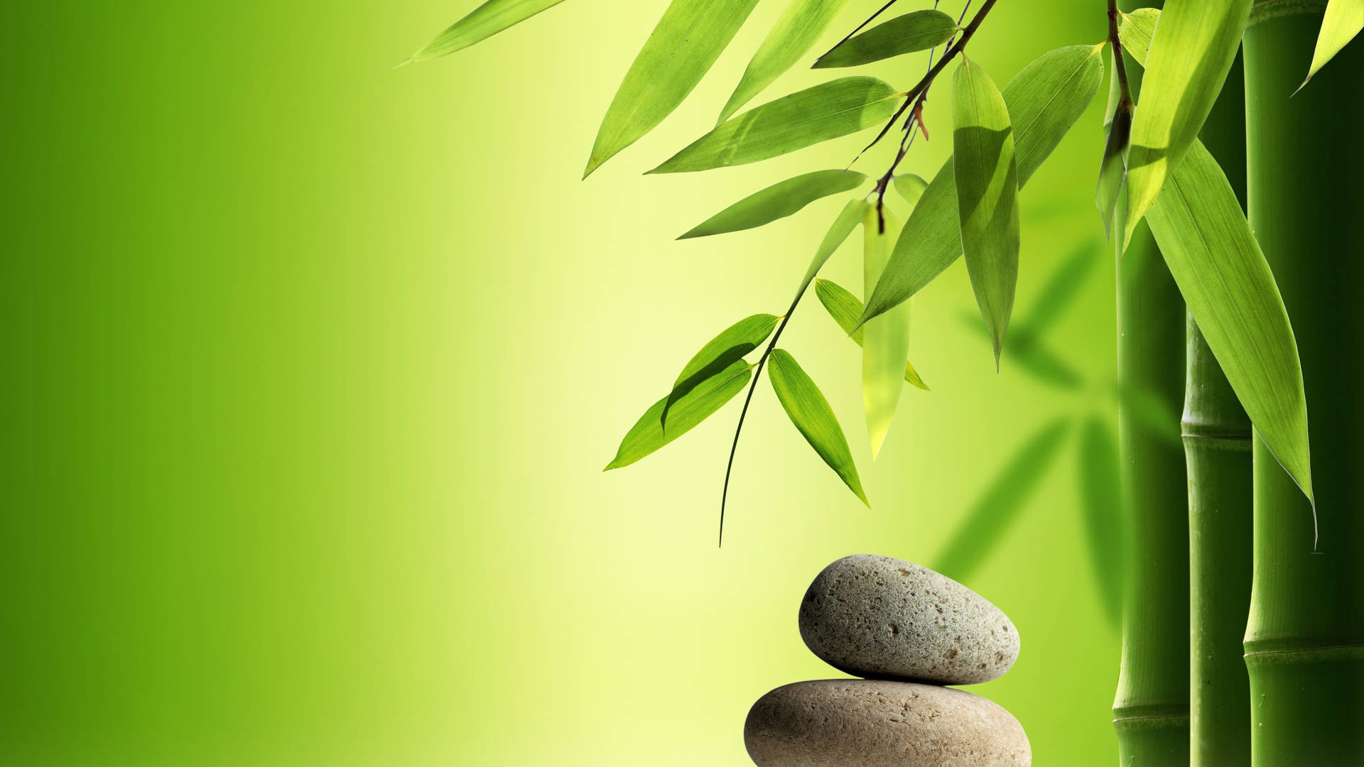 Leaf 桌布 壁紙 — 堆疊的灰色石頭放在充滿活力的綠色竹莖和葉子旁邊，背景是柔和的綠色漸變。