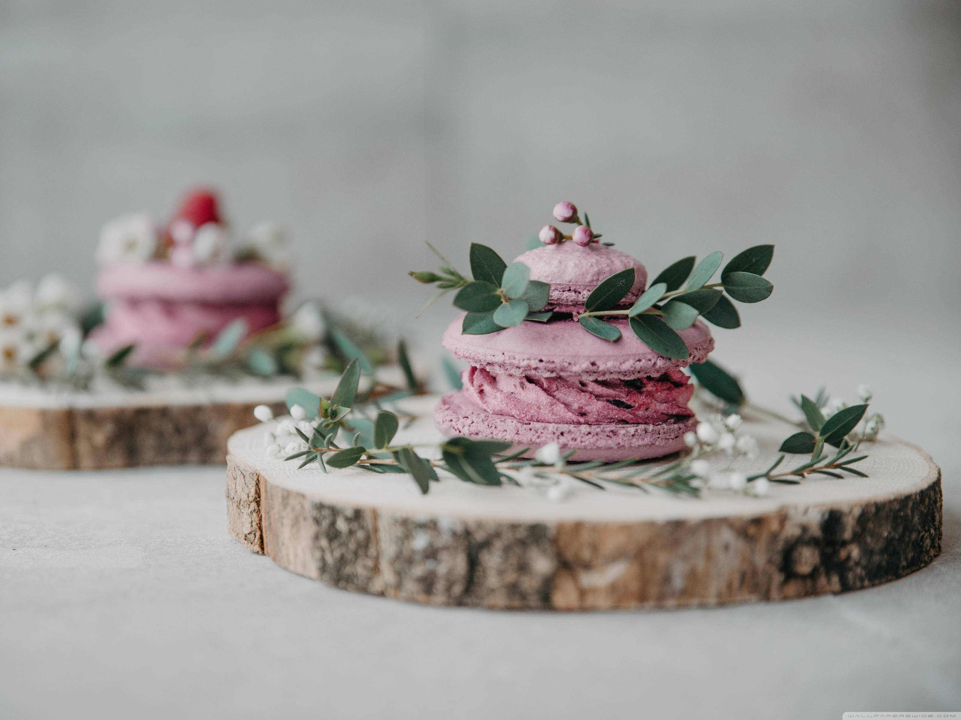 Desserts 桌布 壁紙 — 堆疊的粉紅色馬卡龍飾以桉樹和滿天星，優雅地放置在質樸的木片上。