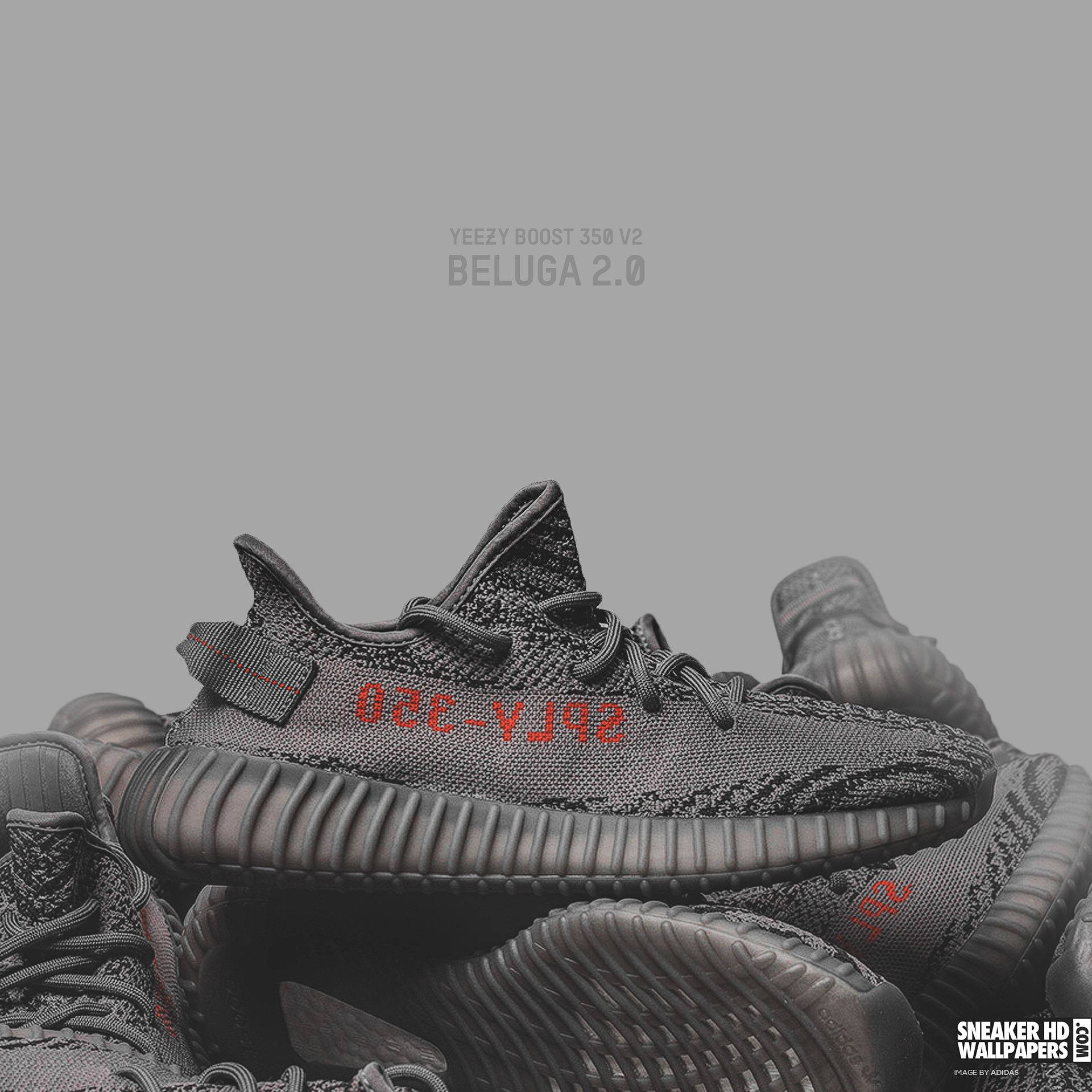 一堆帶有紅色品牌標誌的黑色 Yeezy Boost 350 V2 Beluga 2.0 運動鞋。
