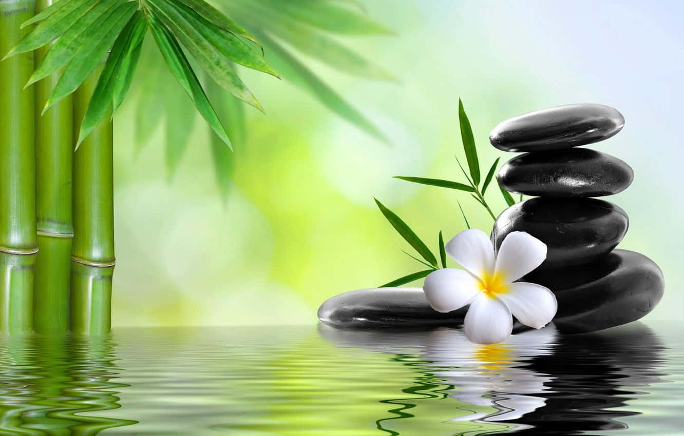 禪 桌布 壁紙 — 堆疊的黑色石頭和白色雞蛋花在平靜的水面上，旁邊是綠色竹莖，在柔和日光下。