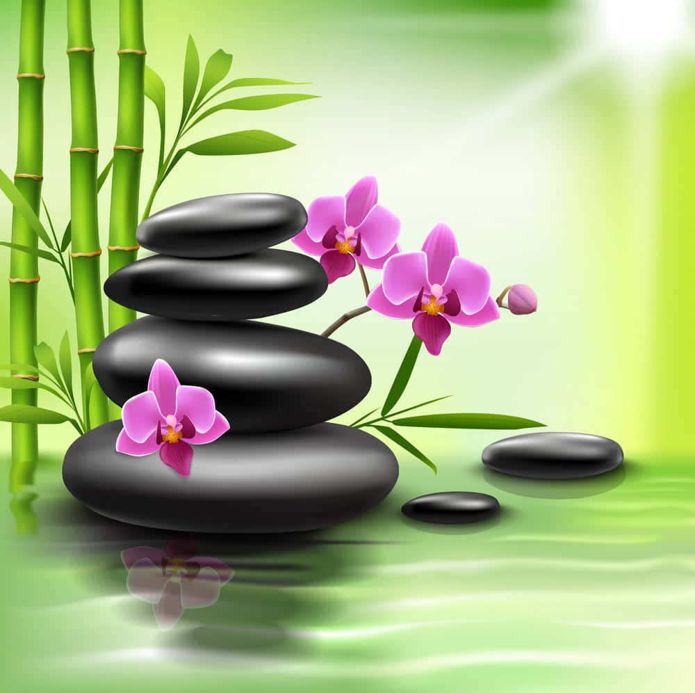 禪 桌布 壁紙 — 堆疊的黑色石頭與粉紅蘭花和竹子，在平靜的綠色水中映照出寧靜。
