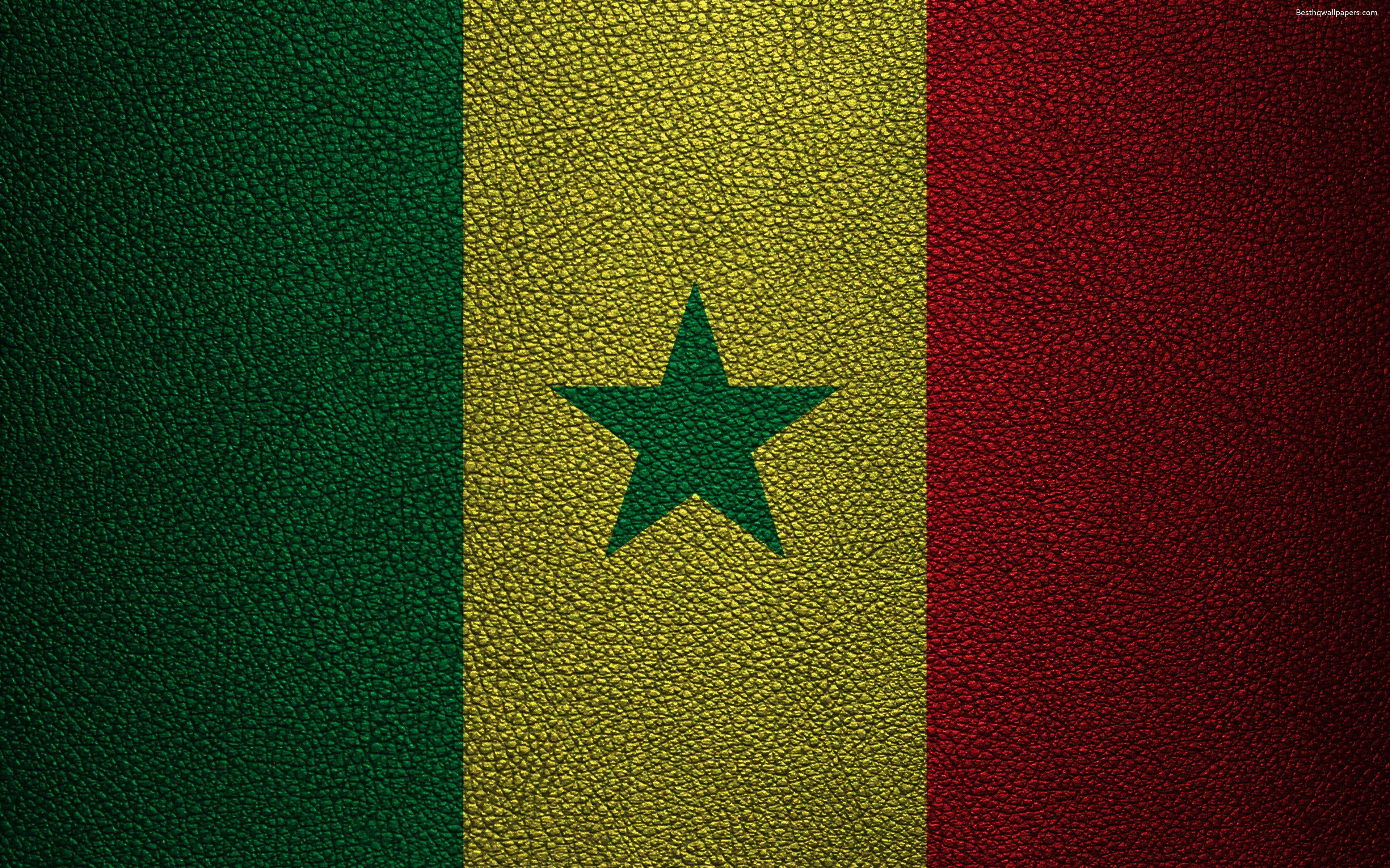 Senegal 桌布 壁紙 — 塞內加爾國旗呈現在紋理皮革上，有綠色、黃色和紅色的垂直條紋，黃色條紋中央有一顆綠色星星。