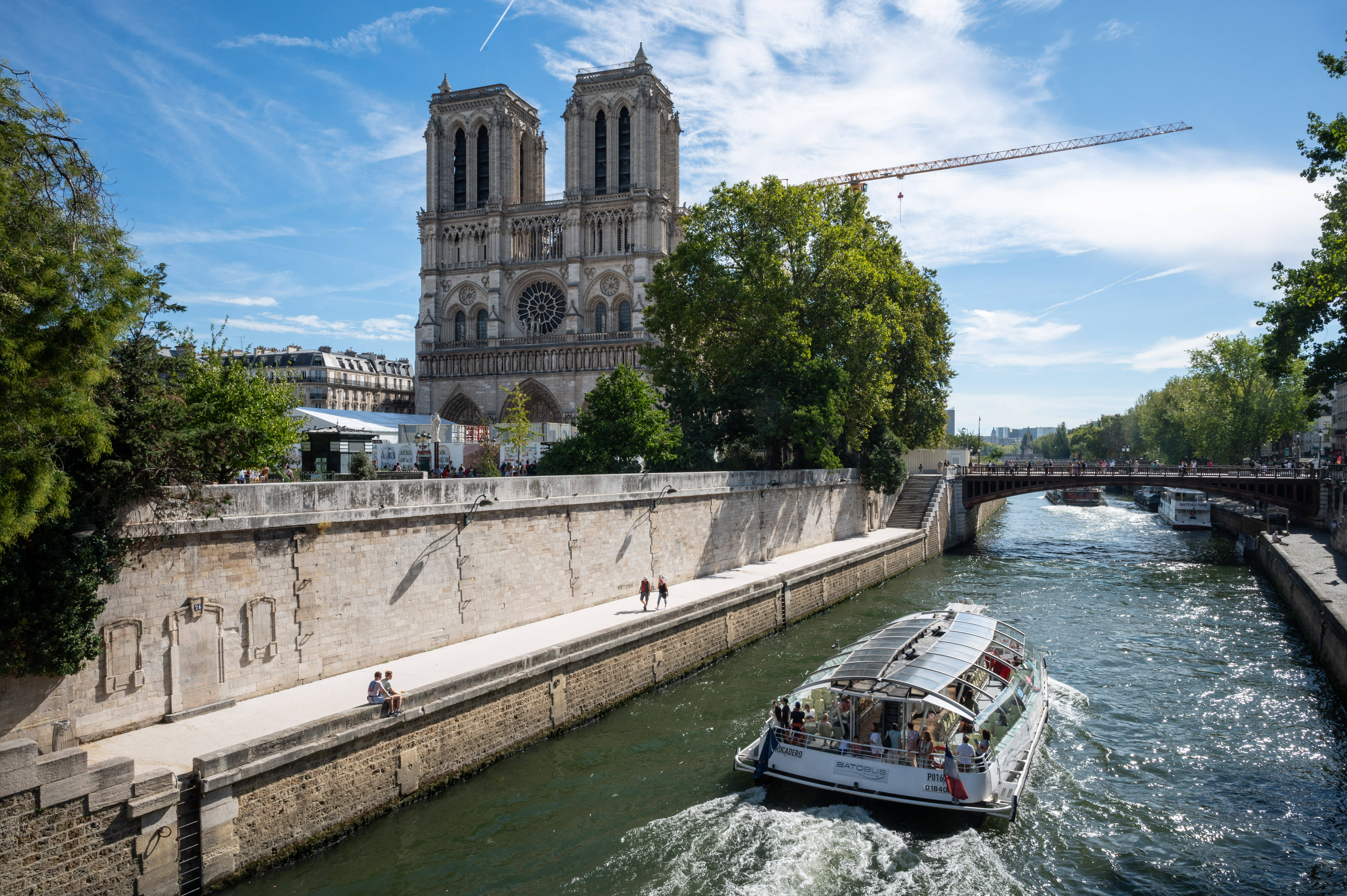 Notre Dame 桌布 壁紙 — 塞納河上陽光明媚的一天，巴黎聖母院高聳於觀光船和綠樹成蔭的石堤之上。