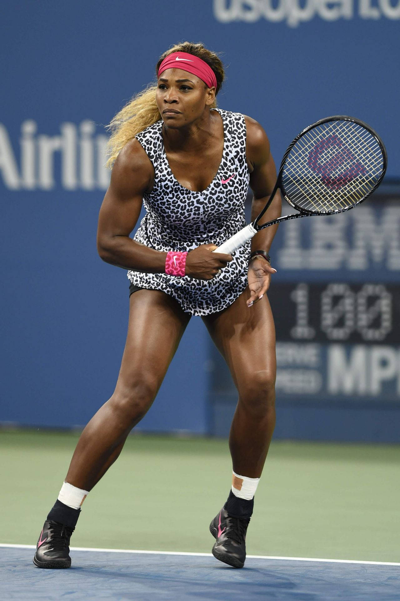 Serena 桌布 壁紙 — 塞雷娜·威廉姆斯身穿豹紋服裝和粉紅色頭帶，在藍色球場上集中準備回擊網球。