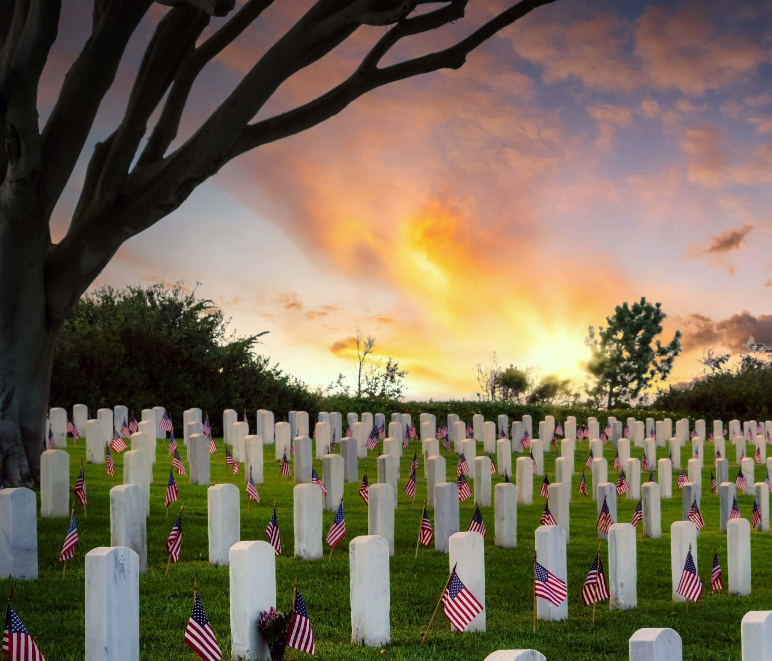 Memorial Day 桌布 壁紙 — 墓地中一排排白色墓碑在熾熱的夕陽下閃耀，每個墓前都插有美國國旗。