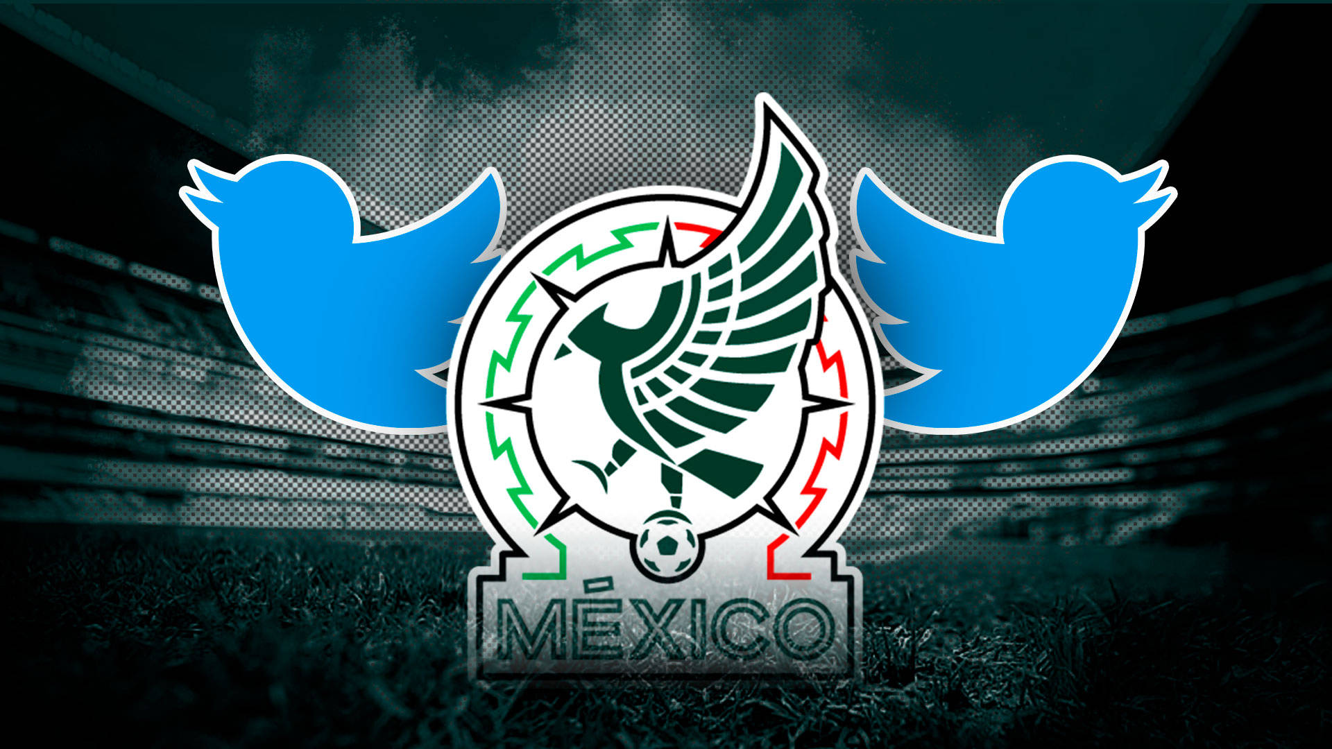 Mexican 桌布 壁紙 — 墨西哥國家足球隊徽章，兩側有Twitter鳥，背景為球場草地。