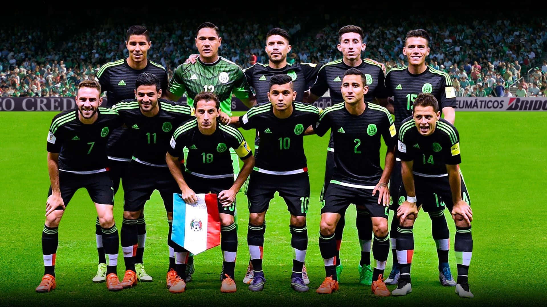 Mexico Soccer 桌布 壁紙 — 墨西哥國家足球隊身穿黑色和綠色球衣，在充滿活力的綠色球場上擺姿勢，背景有球迷。