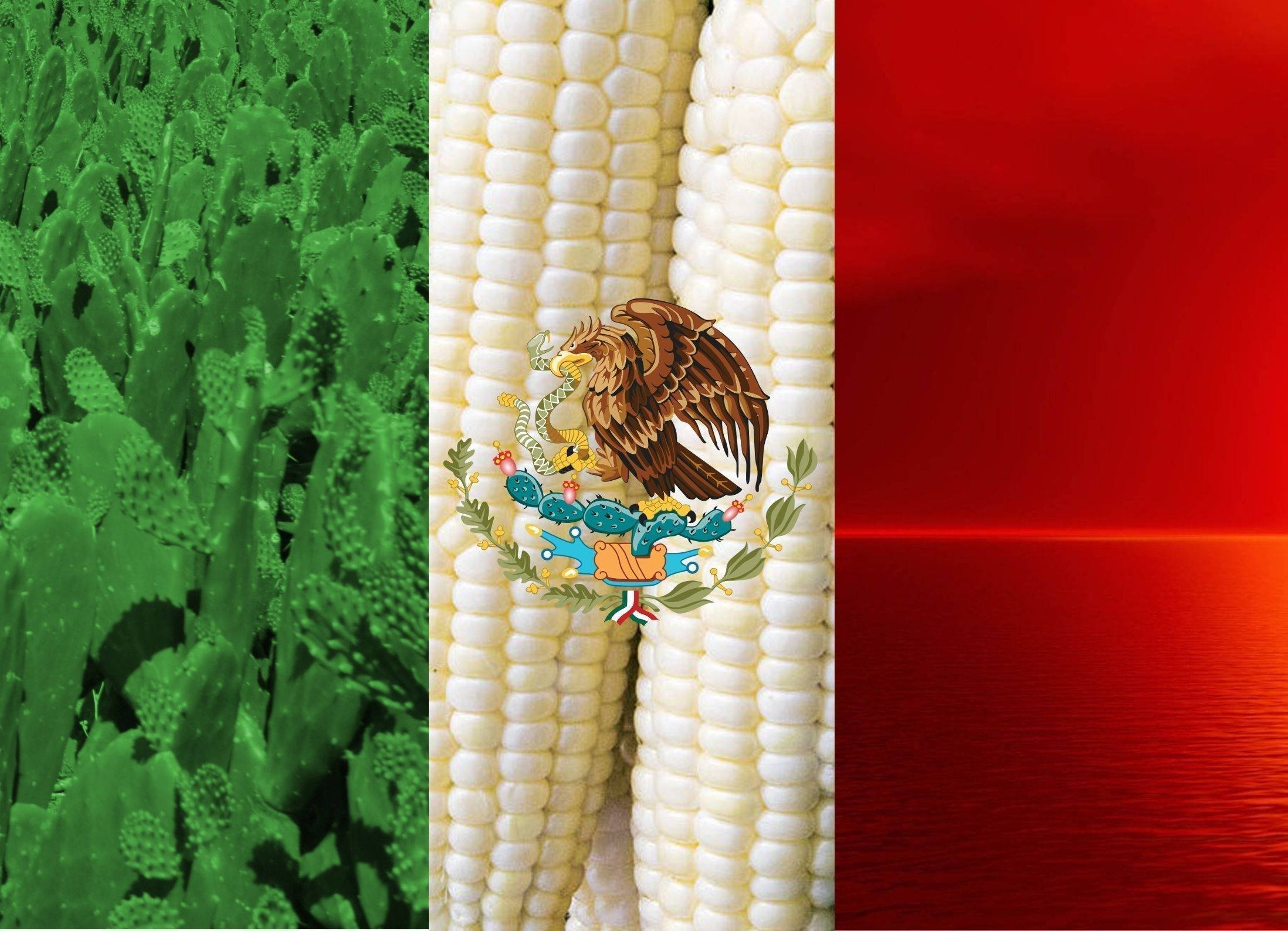 Mexican 桌布 壁紙 — 墨西哥國旗設計，創意地由綠色仙人掌田、白色玉米穗、國徽和紅色水面倒影組成。