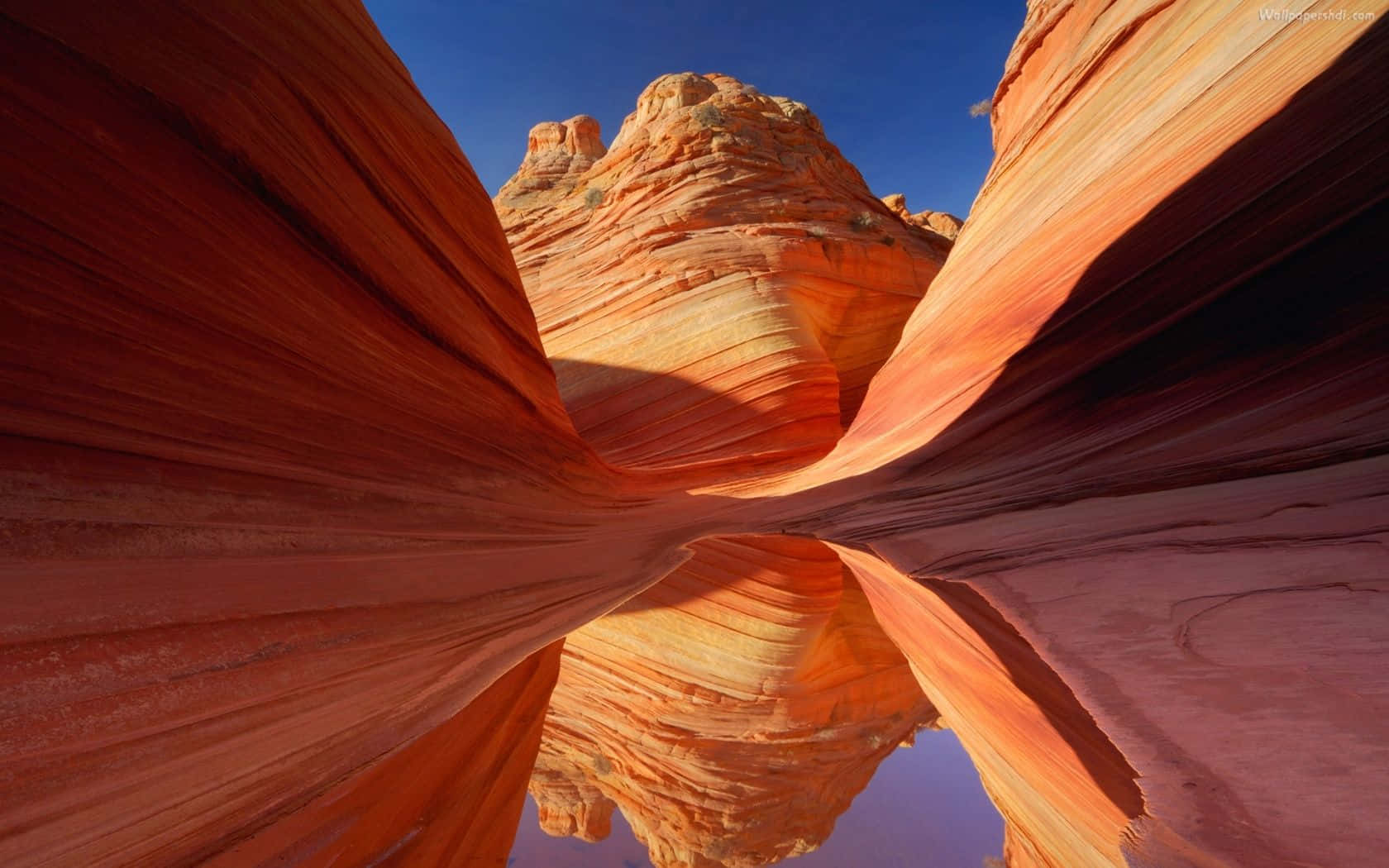 Arizona 桌布 壁紙 — 壯觀的橙色砂岩峽谷牆壁在晴朗的藍天下戲劇性地彎曲，陽光突顯出層次紋理。