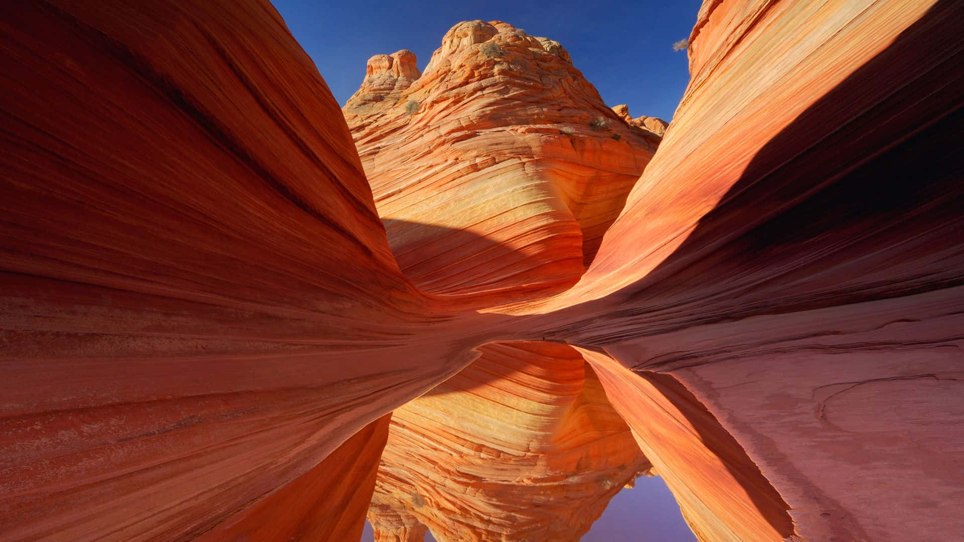 Arizona 桌布 壁紙 — 壯觀的橙色砂岩峽谷牆壁在沙漠景觀中，在清澈的藍天下戲劇性地彎曲。