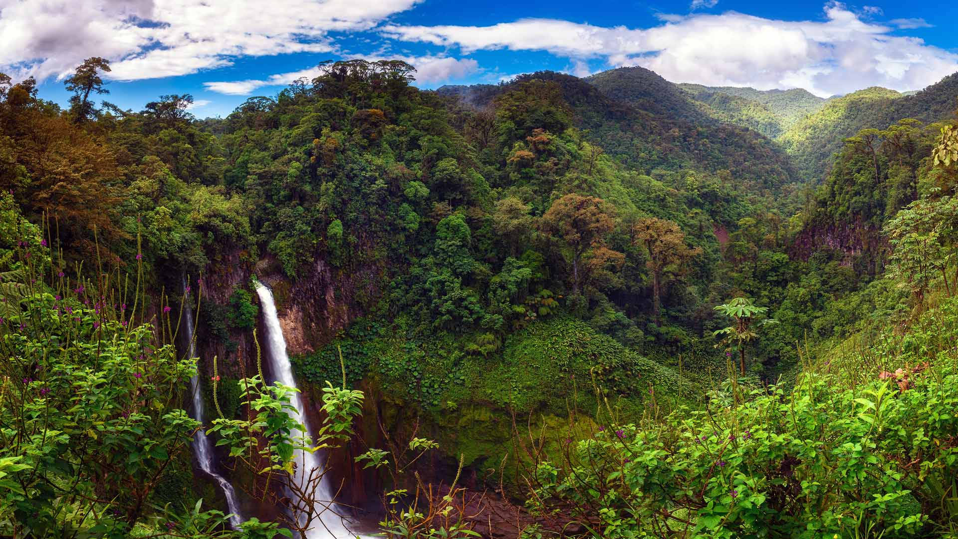 Rainforest 桌布 壁紙 — 壯麗的瀑布穿過茂密的綠色叢林山脈，在明亮的藍天下有蓬鬆的白雲。