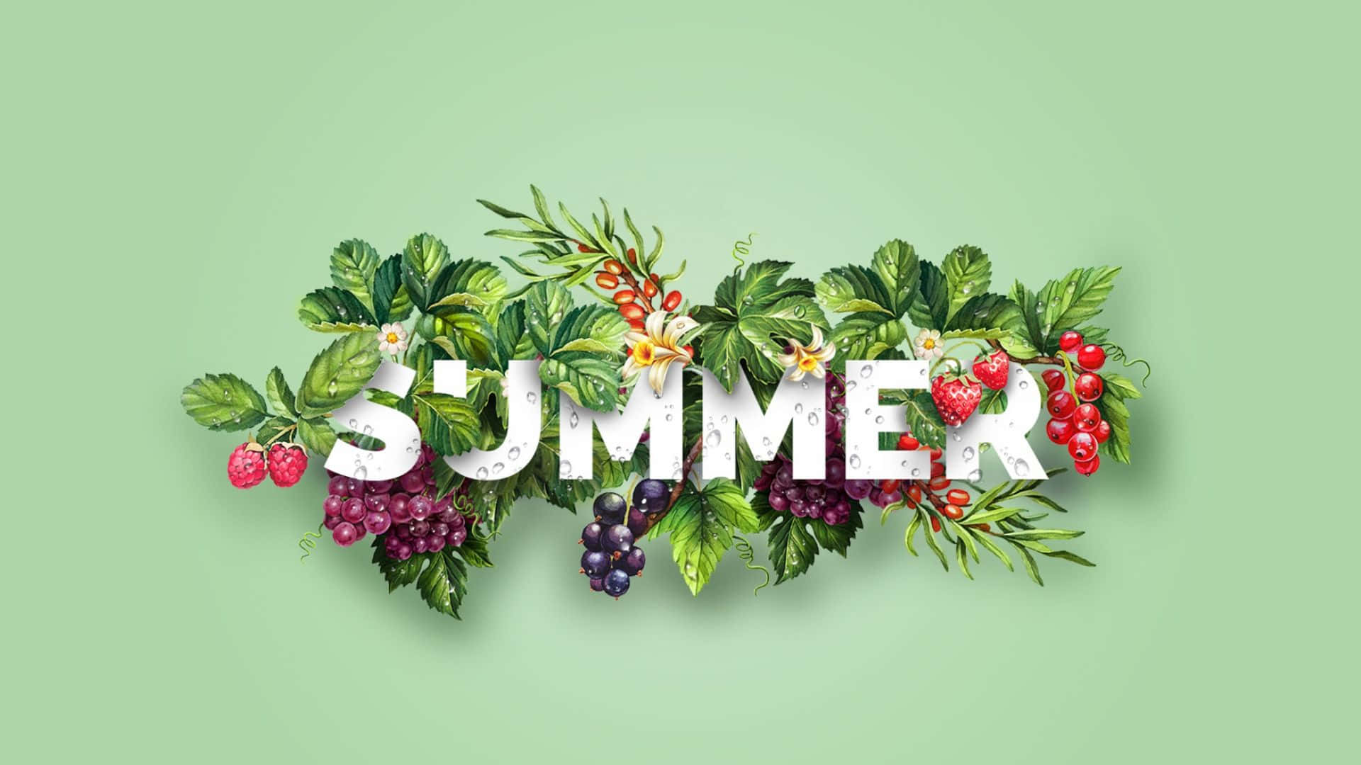 夏天 桌布 壁紙 — 「夏天」一詞以鮮豔的莓果、葡萄、草莓和茂盛的綠葉點綴，襯托柔和的薄荷色背景。