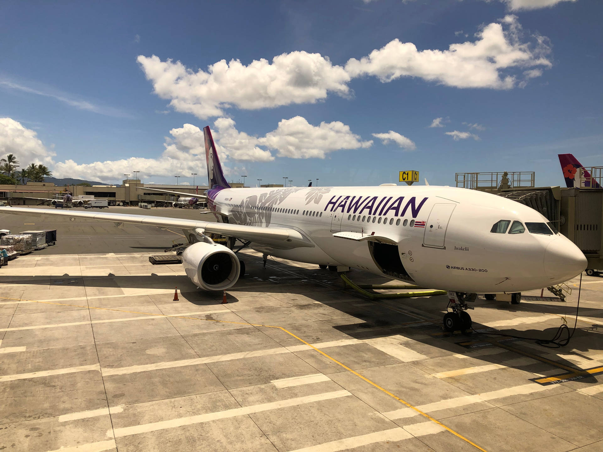 壁紙 — 夏威夷航空的空中巴士A330停泊在機場閘口，天空湛藍，白雲朵朵。