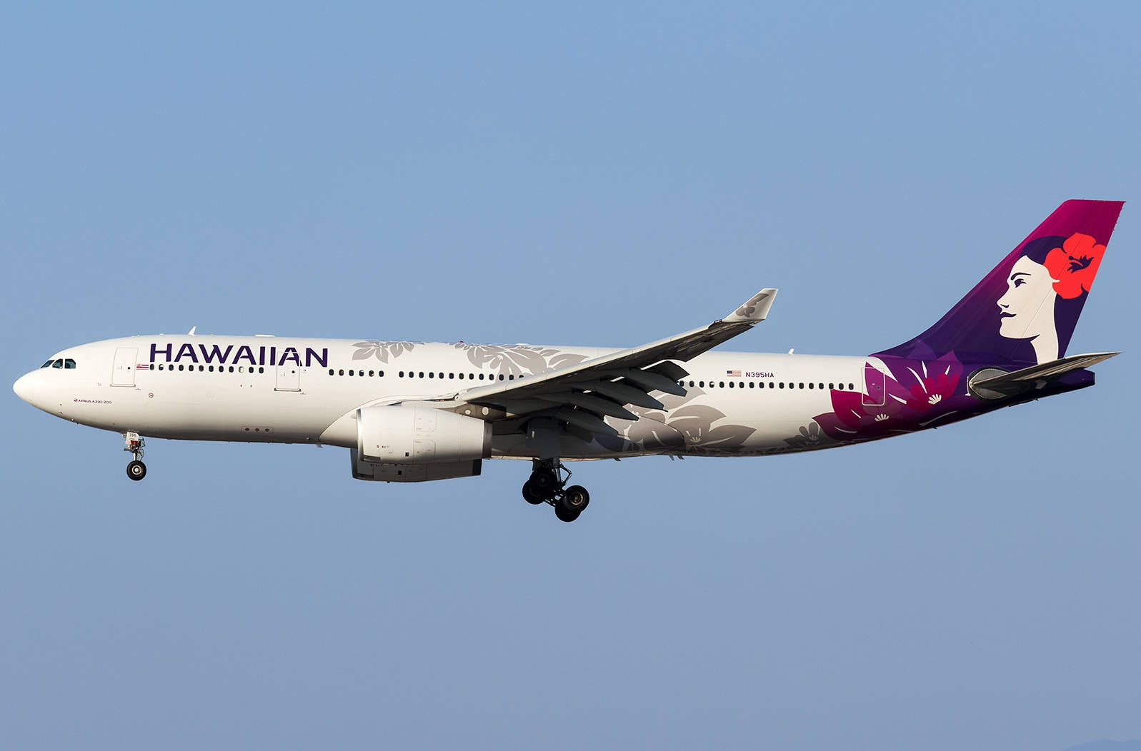 飛機 桌布 壁紙 — 夏威夷航空的空中巴士A330在晴朗藍天下飛行，起落架放下。