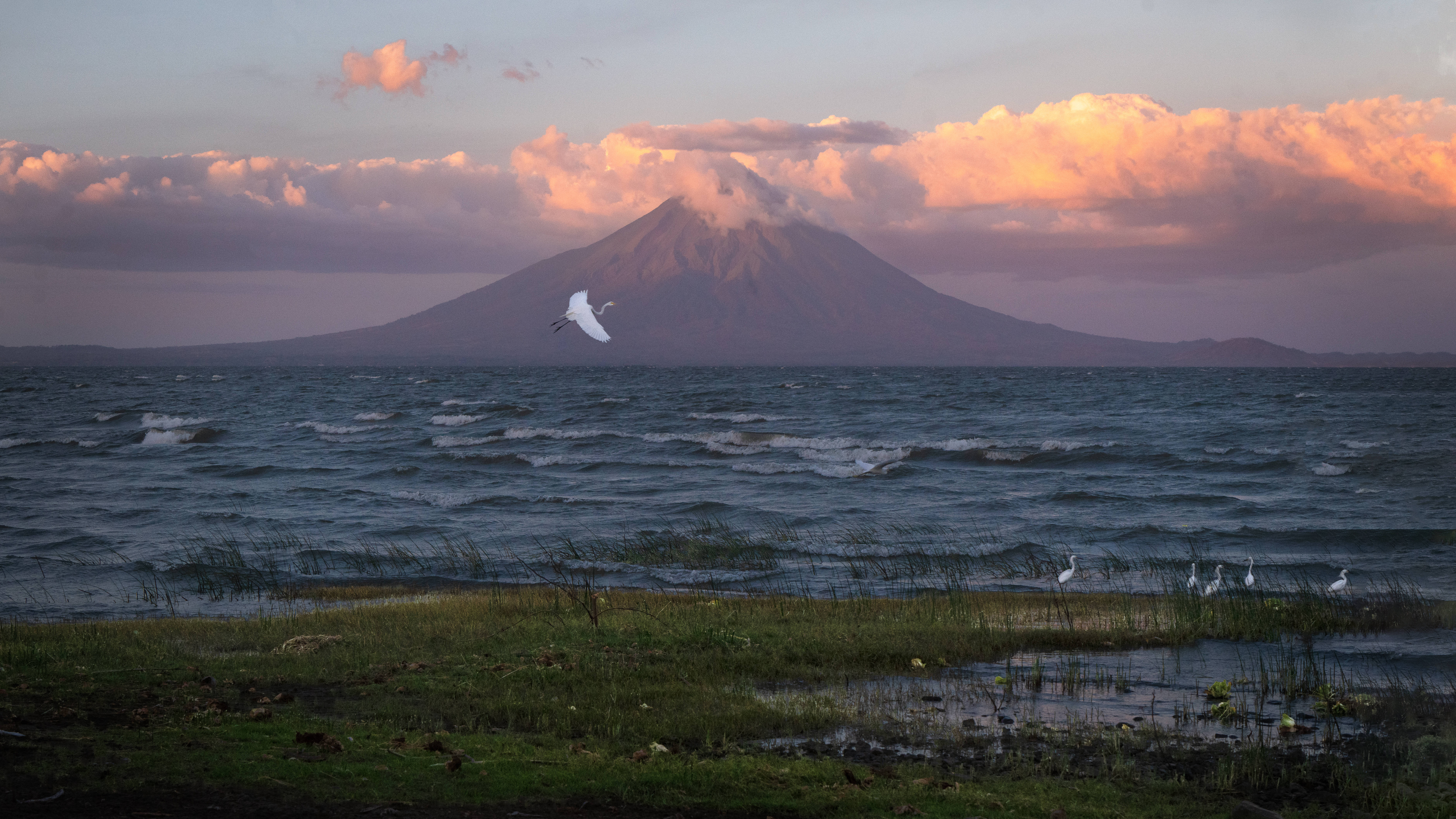 Nicaragua 桌布 壁紙 — 夕陽下，一隻白鳥在粉紅色的雲層中翱翔，背後是一座波濤洶湧的湖泊和一座雄偉的雪山火山。