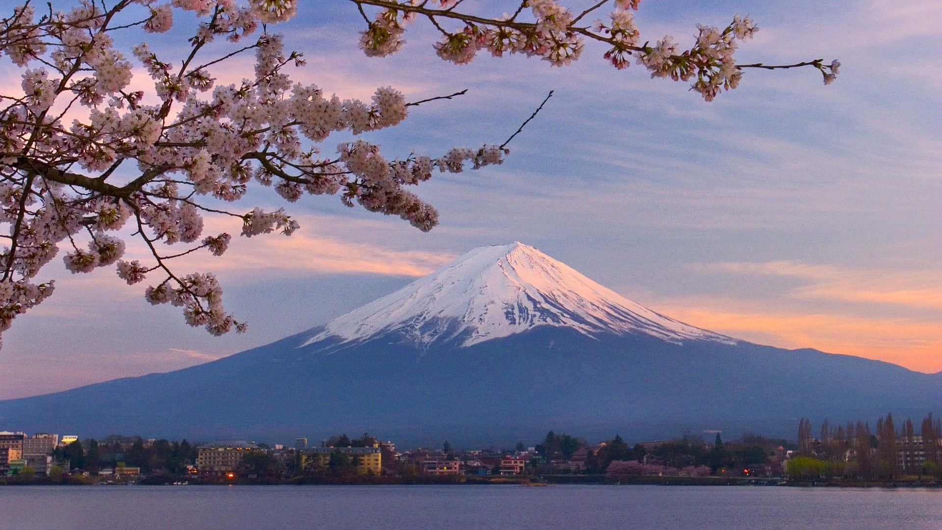 山景 桌布 壁紙 — 夕陽下，白雪覆蓋的富士山在粉嫩櫻花環繞的湖泊後方巍峨聳立。