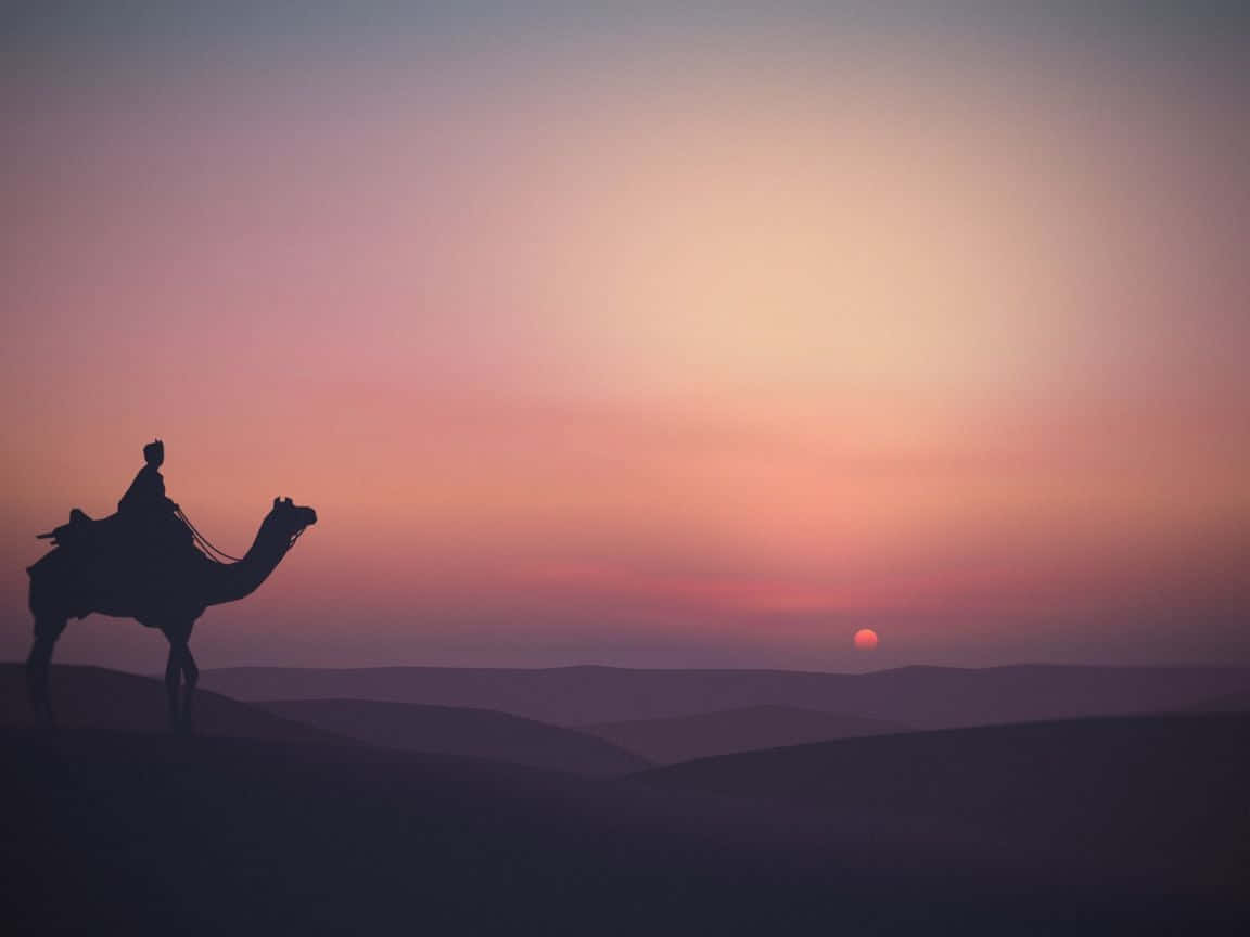 夕陽下沙漠中騎駱駝的男子 壁紙