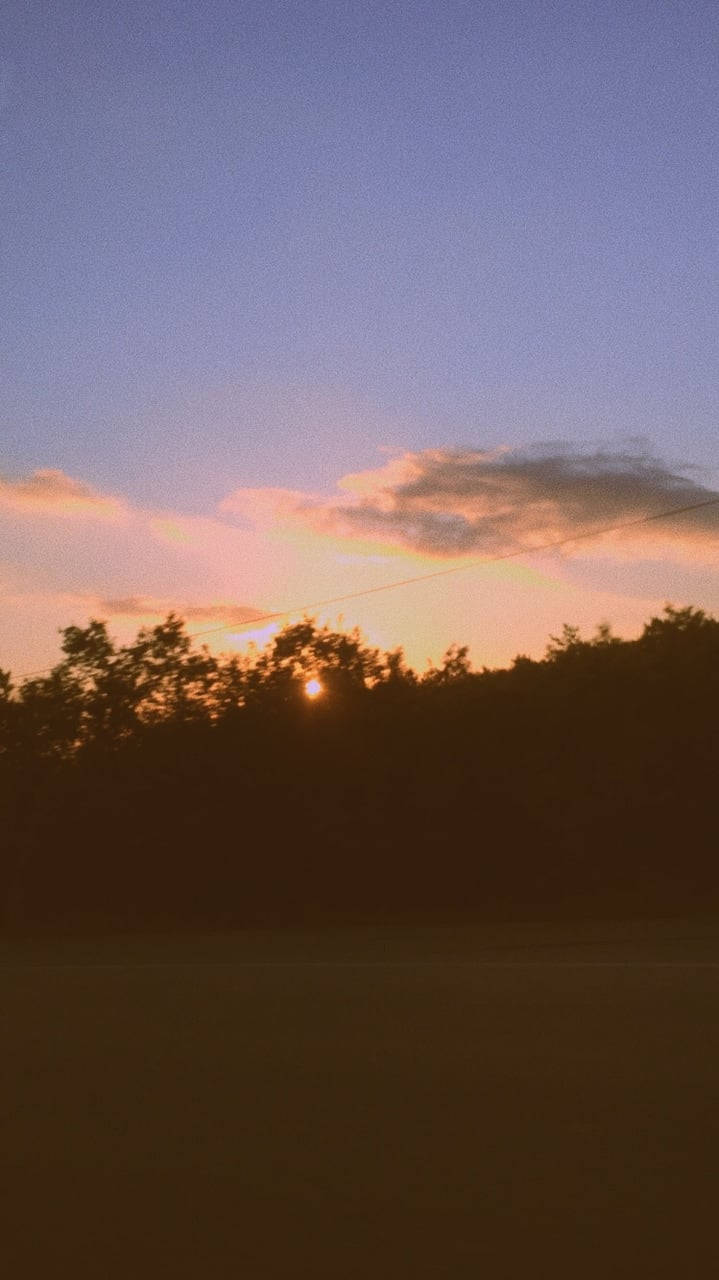 vsco 桌布 壁紙 — 夕陽以柔和的橙色和紫色調繪製天空，在黑暗的樹線上方有一條微弱的電線橫穿而過。