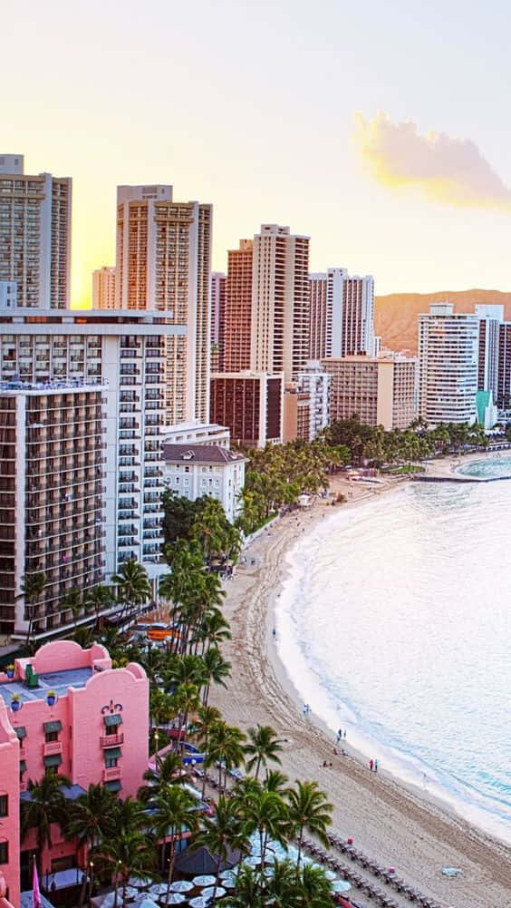 Hawaii iPhone 桌布 壁紙 — 夕陽以溫暖的金色光芒沐浴著熱帶海灘，棕櫚樹和高聳的酒店林立。
