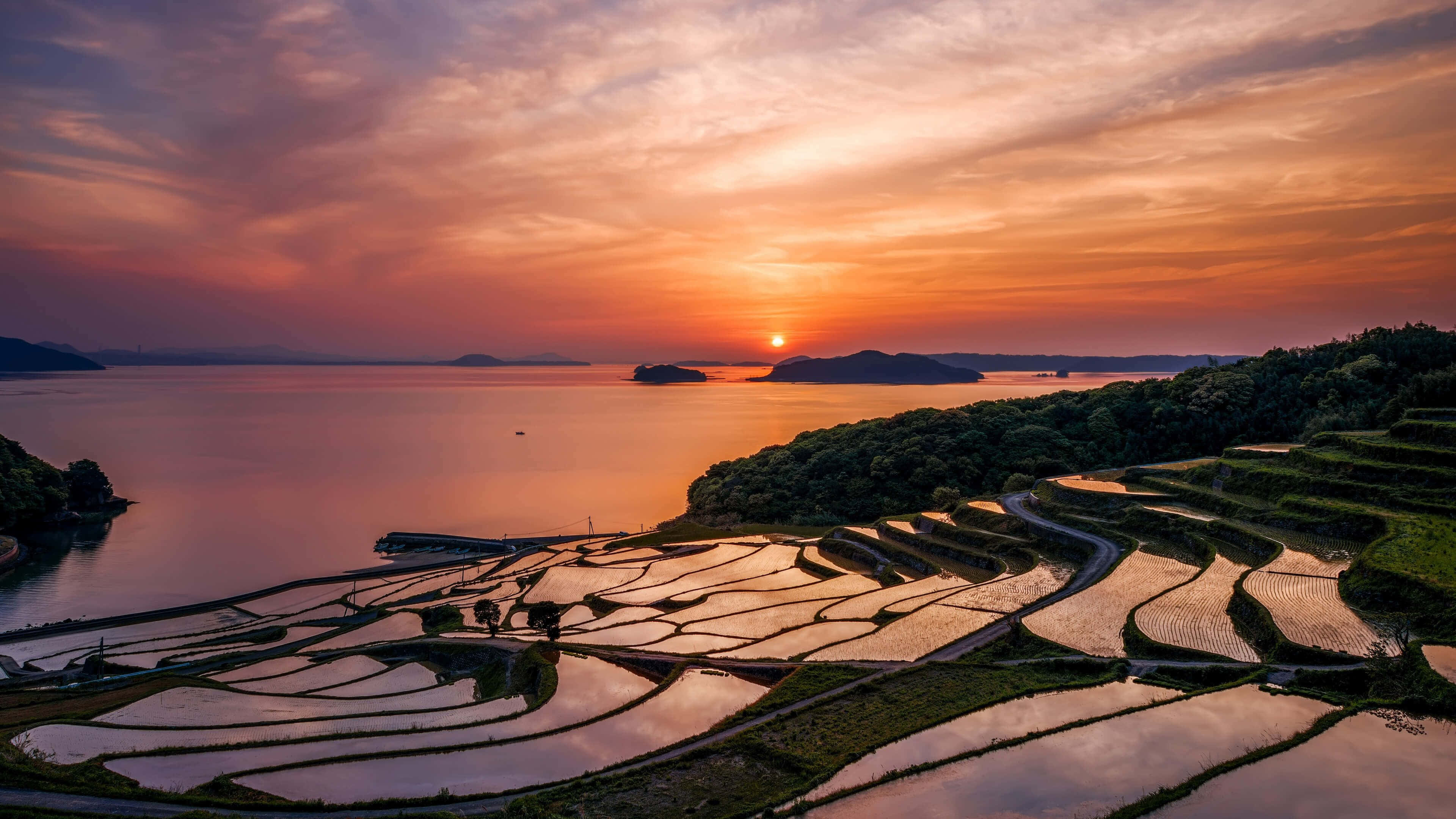 Japan Landscape 桌布 壁紙 — 夕陽以火熱的橙色和粉紅色調描繪梯田和寧靜的水面，遍佈寧靜的沿海景觀。