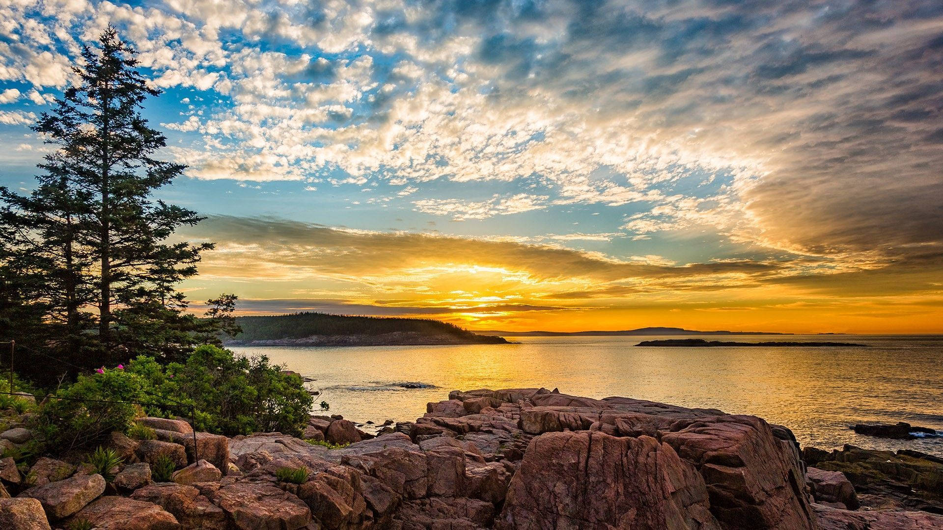 Cloud Aesthetic 桌布 壁紙 — 夕陽以金色調塗抹天空，照耀著岩石海岸景觀，點綴著常綠樹木和寧靜的水面。