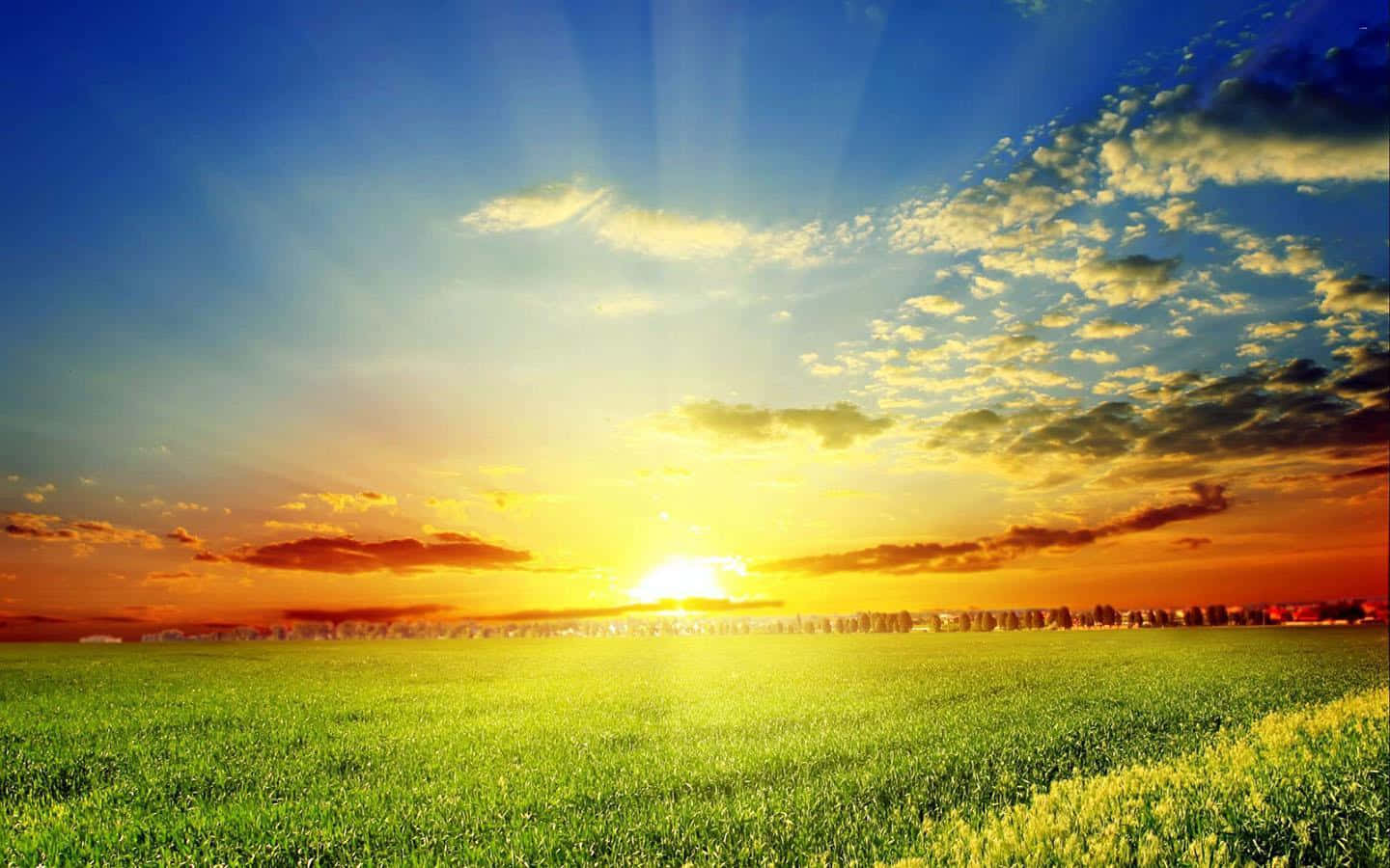 日出 桌布 壁紙 — 夕陽光線穿過雲層，照耀著廣闊的綠色田野，地平線上有遠方的樹木。
