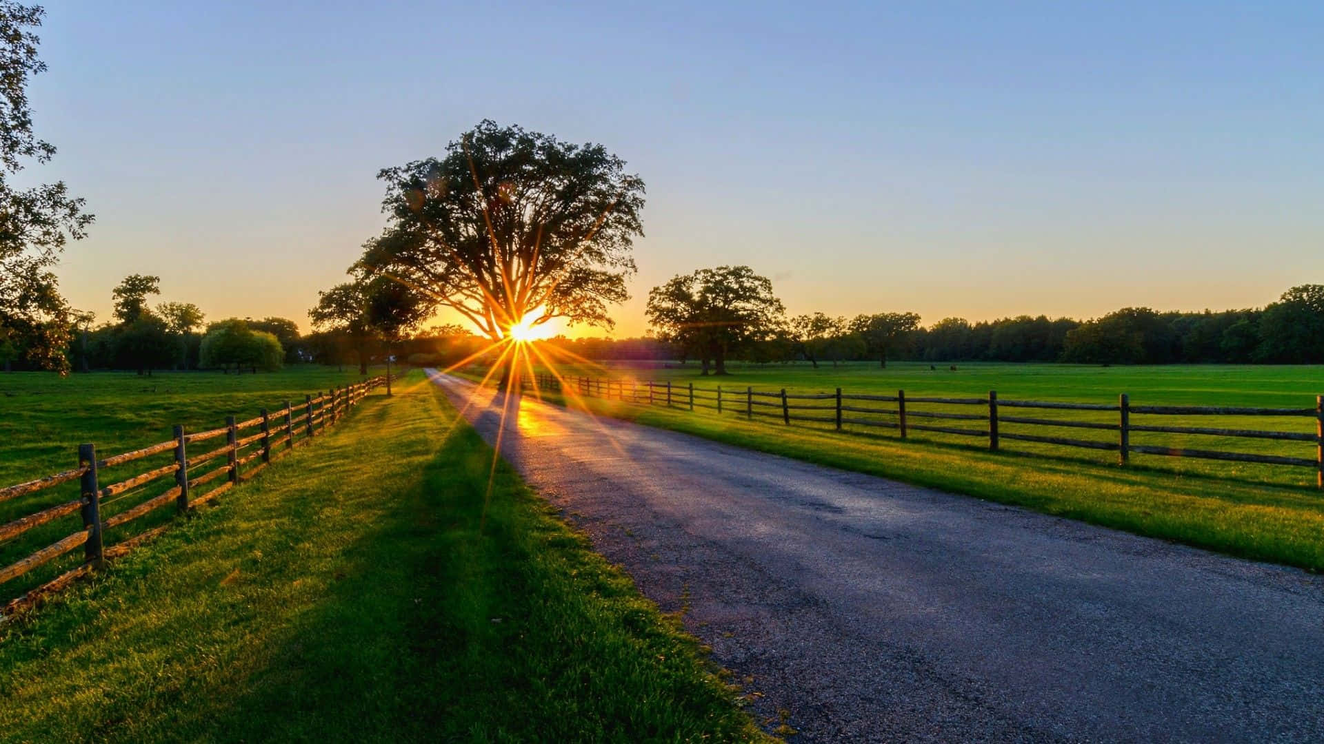 Sunrise Desktop 桌布 壁紙 — 夕陽在一棵孤樹後發光，一條碎石路蜿蜒穿過被木柵欄圍繞的綠色田野。