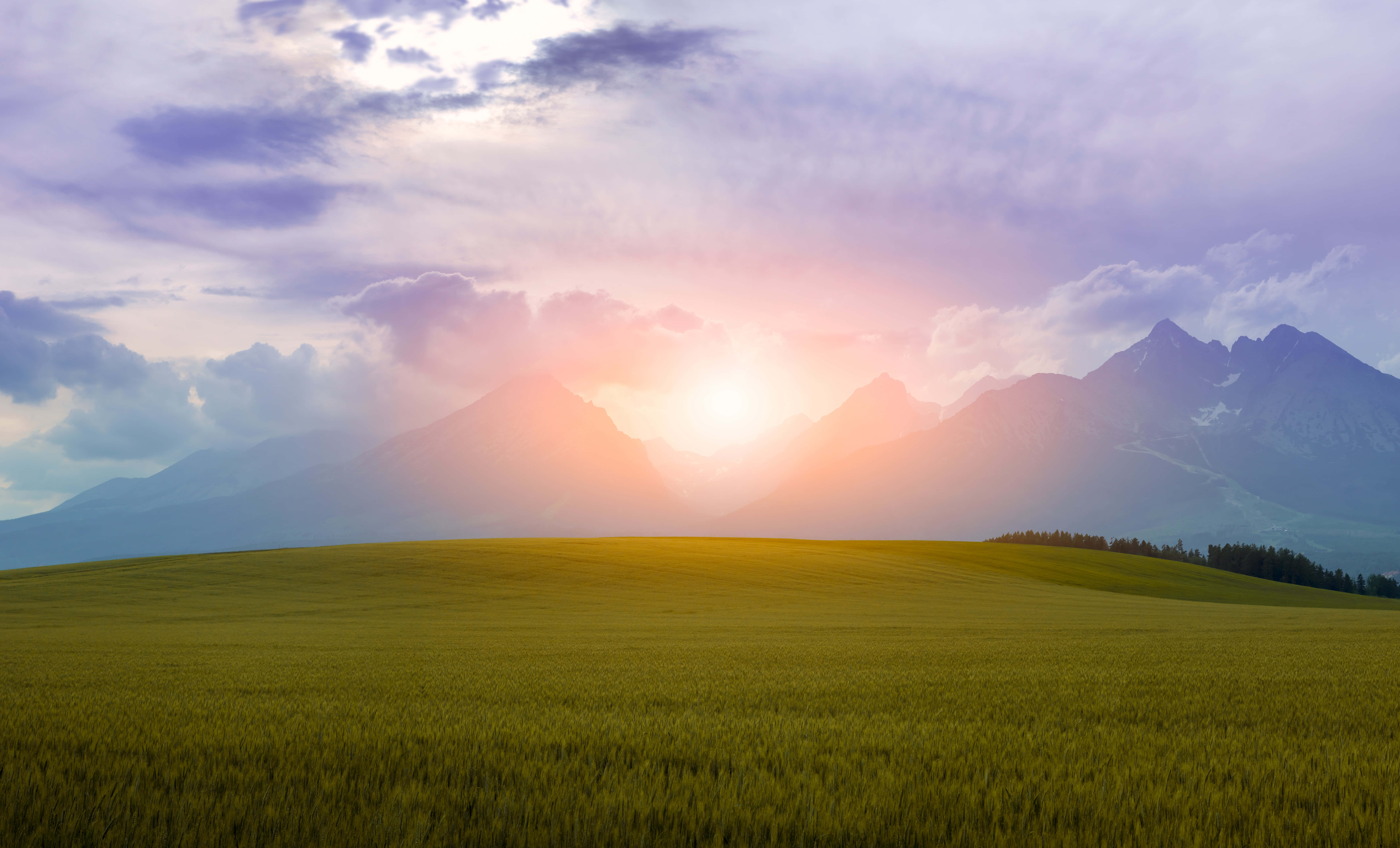 Summer Landscape 桌布 壁紙 — 夕陽在山峰後發光，在紫色雲層下將溫暖的光線灑向廣闊的綠色田野。