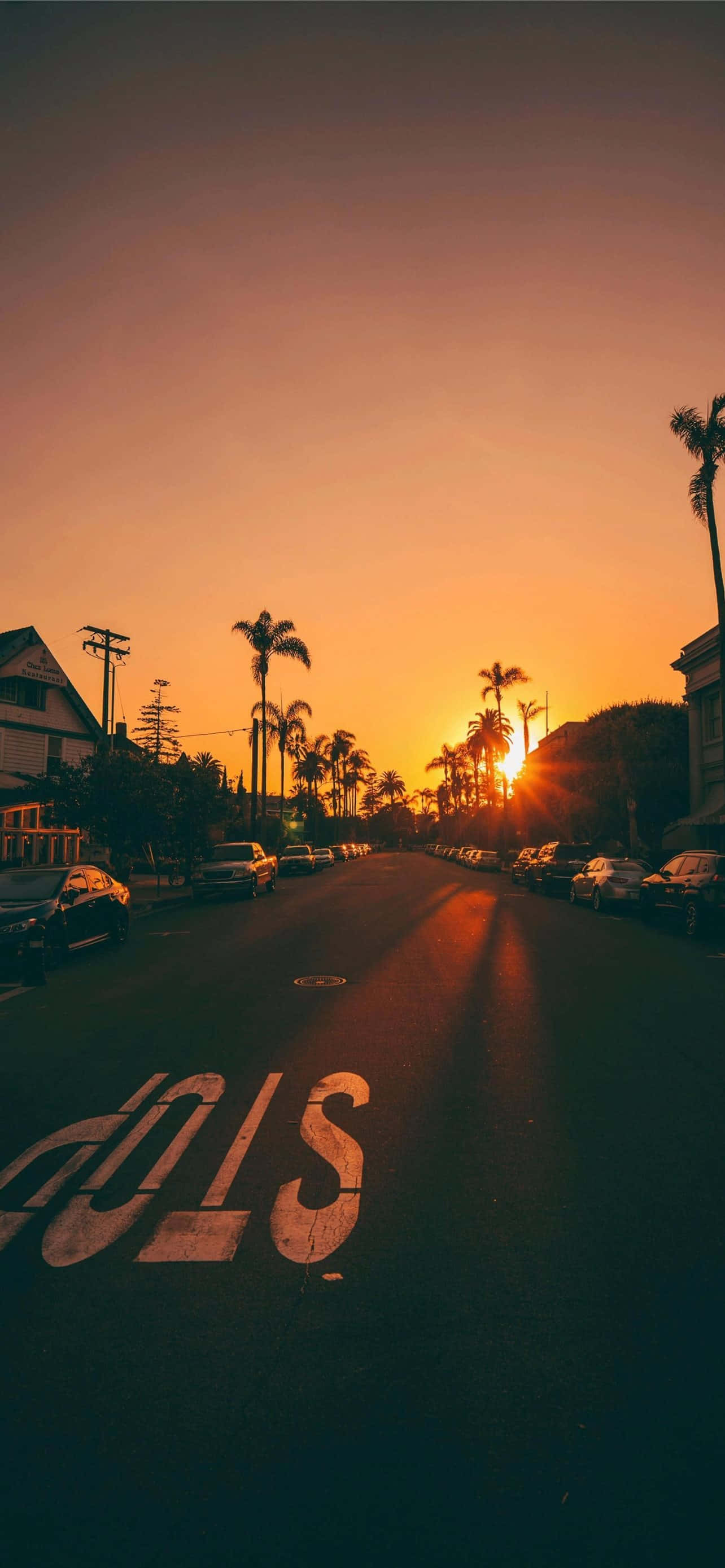 California Aesthetic 桌布 壁紙 — 夕陽在棕櫚樹成蔭的街道上投下溫暖的橙色光芒，路邊停著汽車，街道標記已褪色。