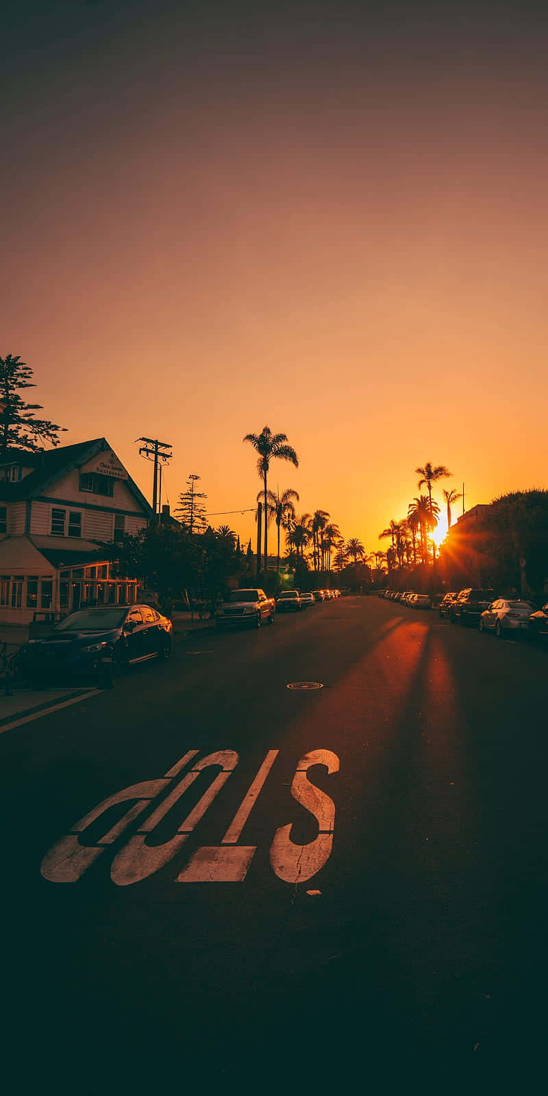 California Aesthetic 桌布 壁紙 — 夕陽在棕櫚樹成蔭的街道上投下溫暖的橙色光芒，瀝青上漆有「SCHOOL」字樣，路邊停有汽車。